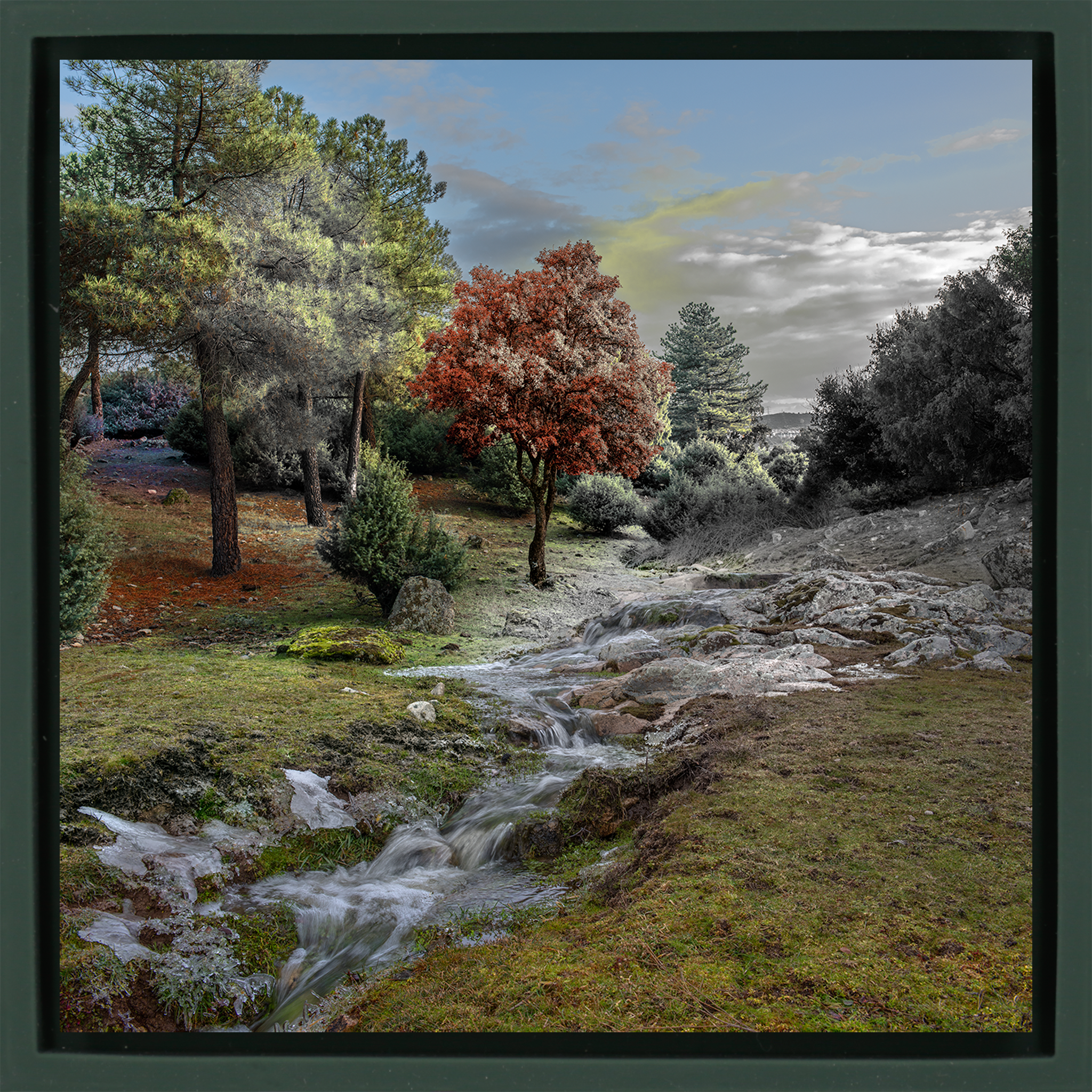 El Color de un Rio- Dark Green Wrapp