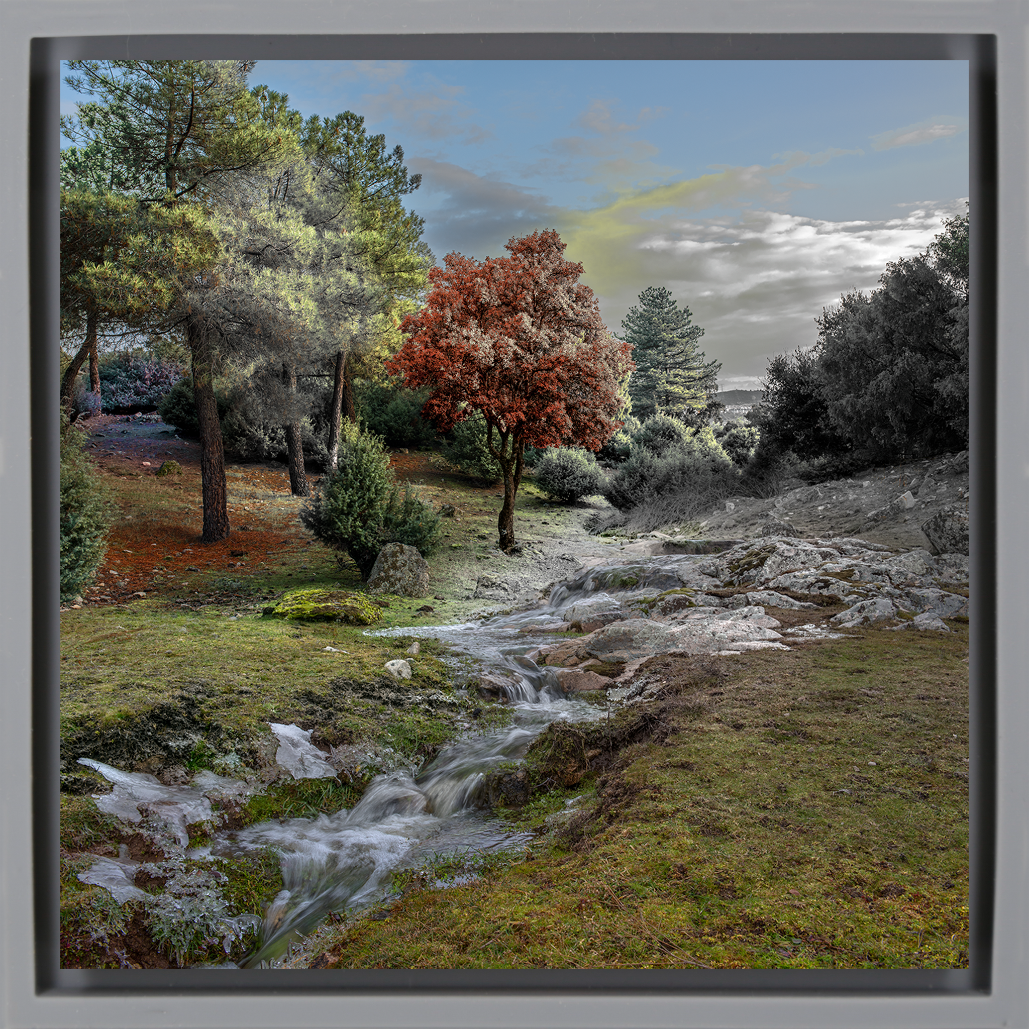 El Color de un Rio- Grey Wrapp