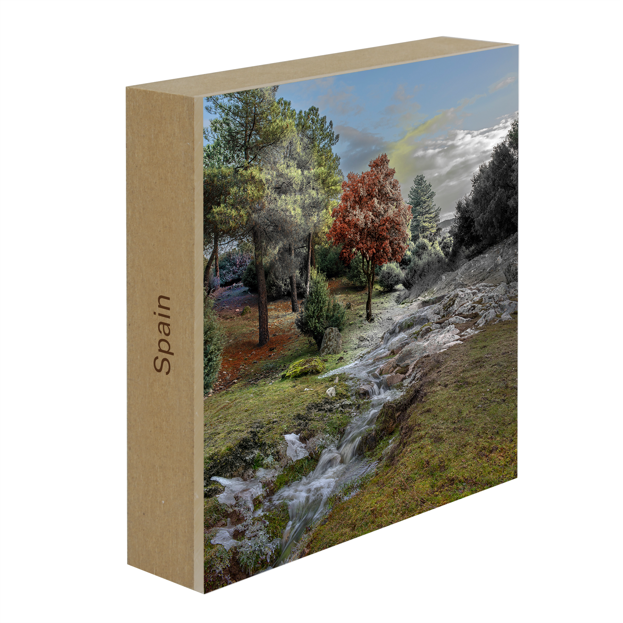 El Color de un Rio- Collection: Spain