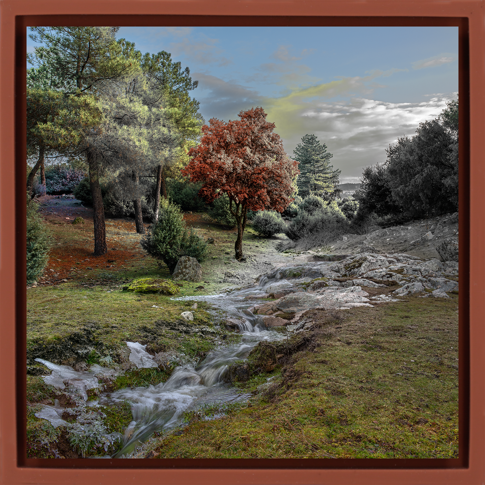 El Color de un Rio- Terra Wrapp