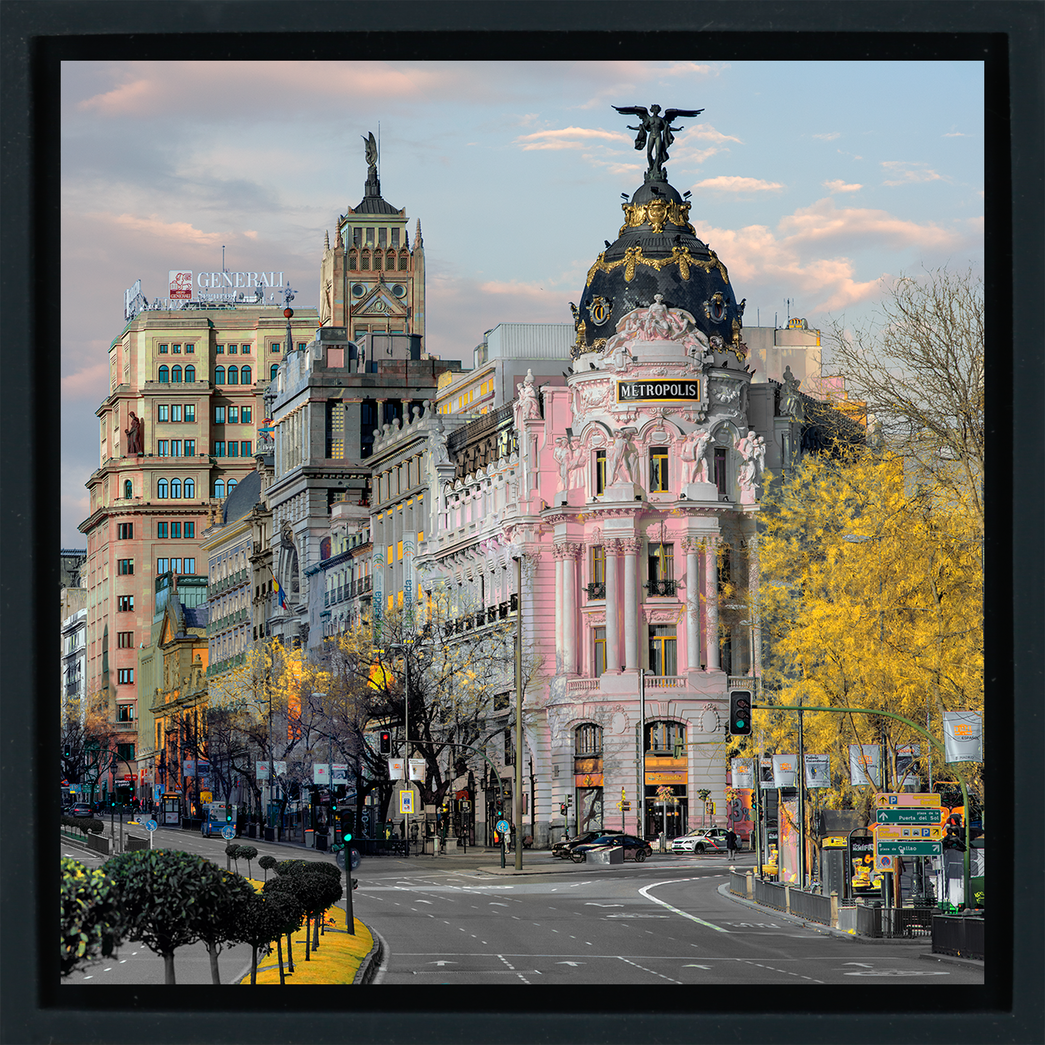 Metropolis Rosa- Black Wrapp