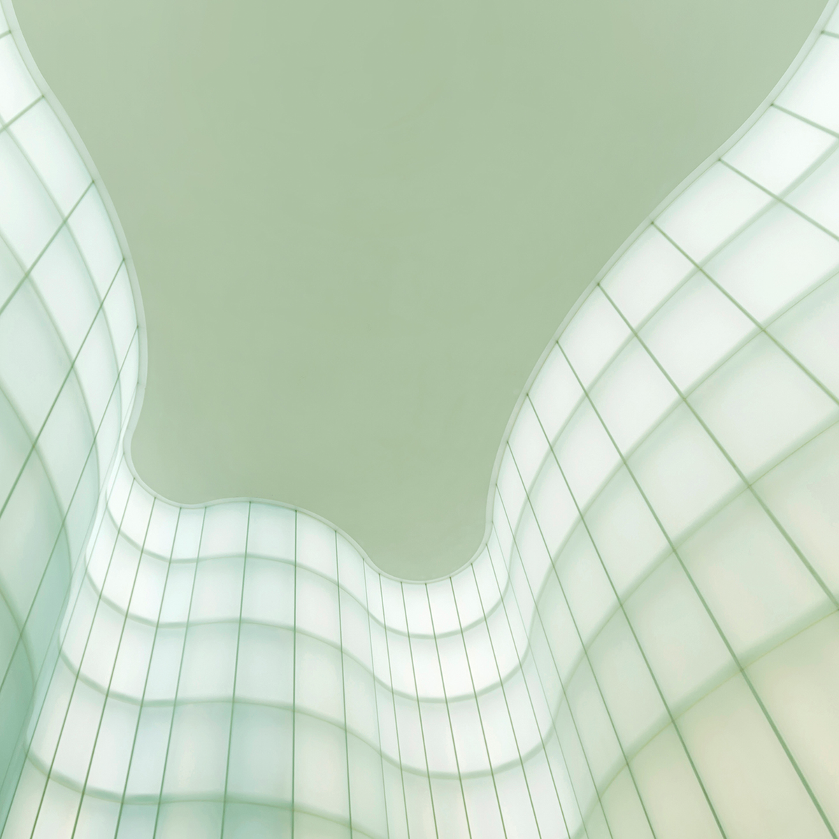 Curvy Wall