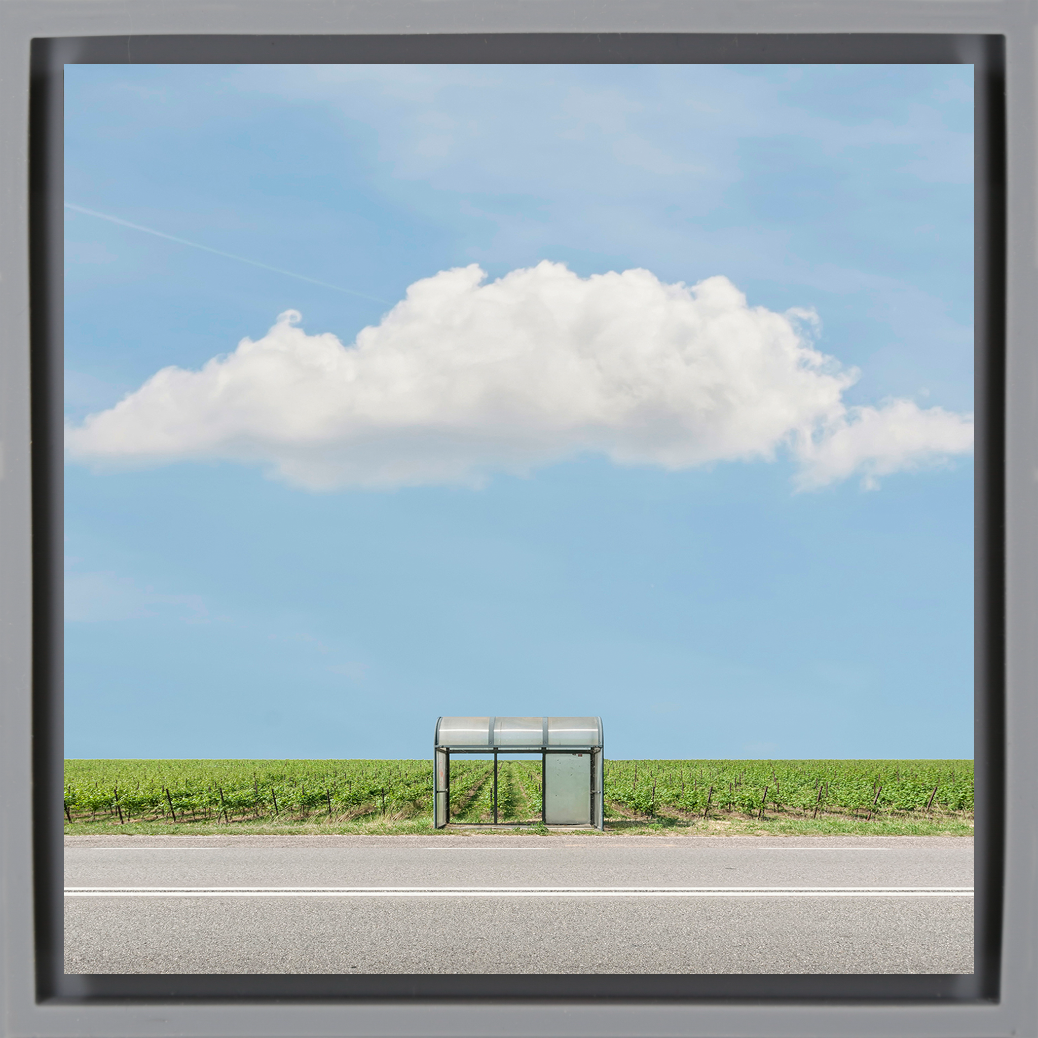 Bus Stop: The Vineyard - Grijze Wrapp
