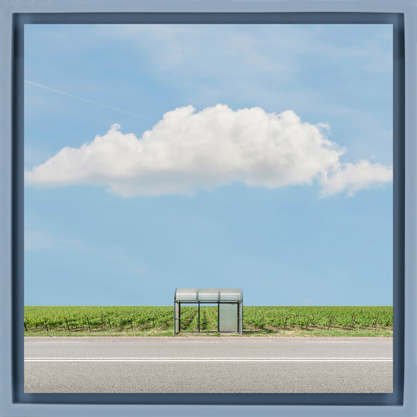 Bus Stop The Vineyard - Light Blue Wrapp
