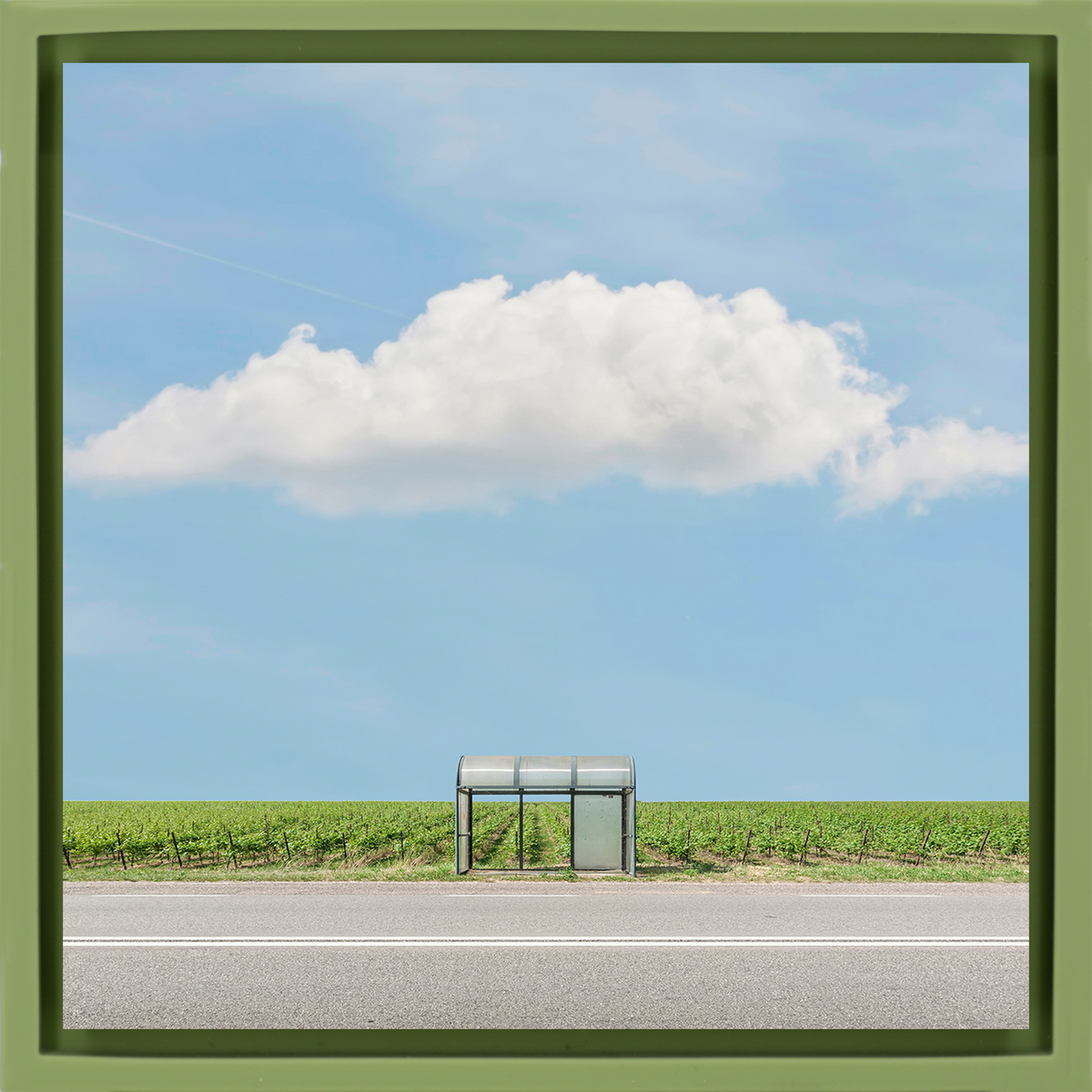 Bus Stop The Vineyard