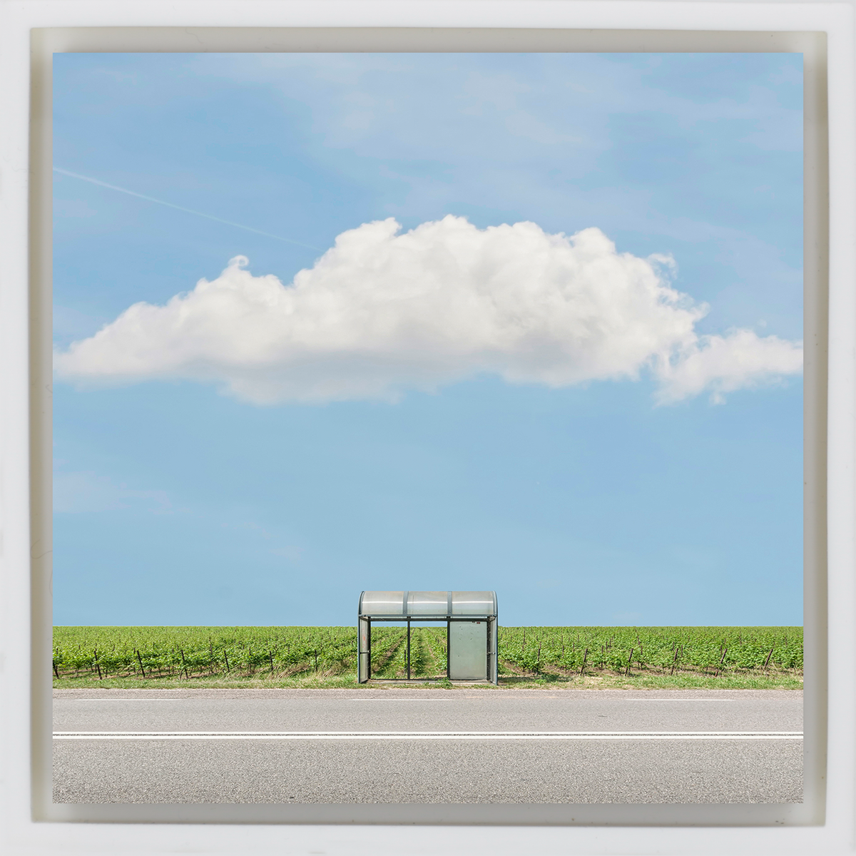 Bus Stop: The Vineyard