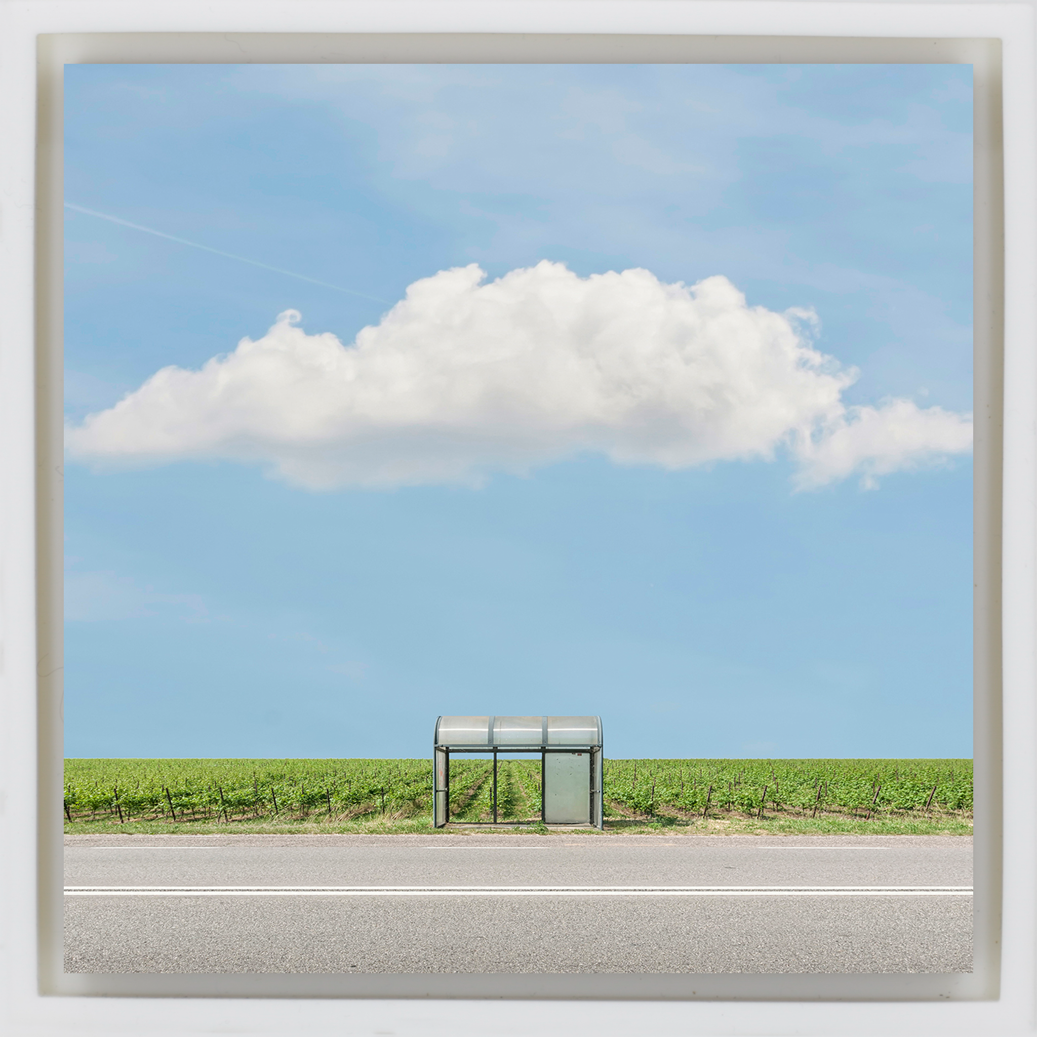 Bus Stop: The Vineyard - Witte Wrapp