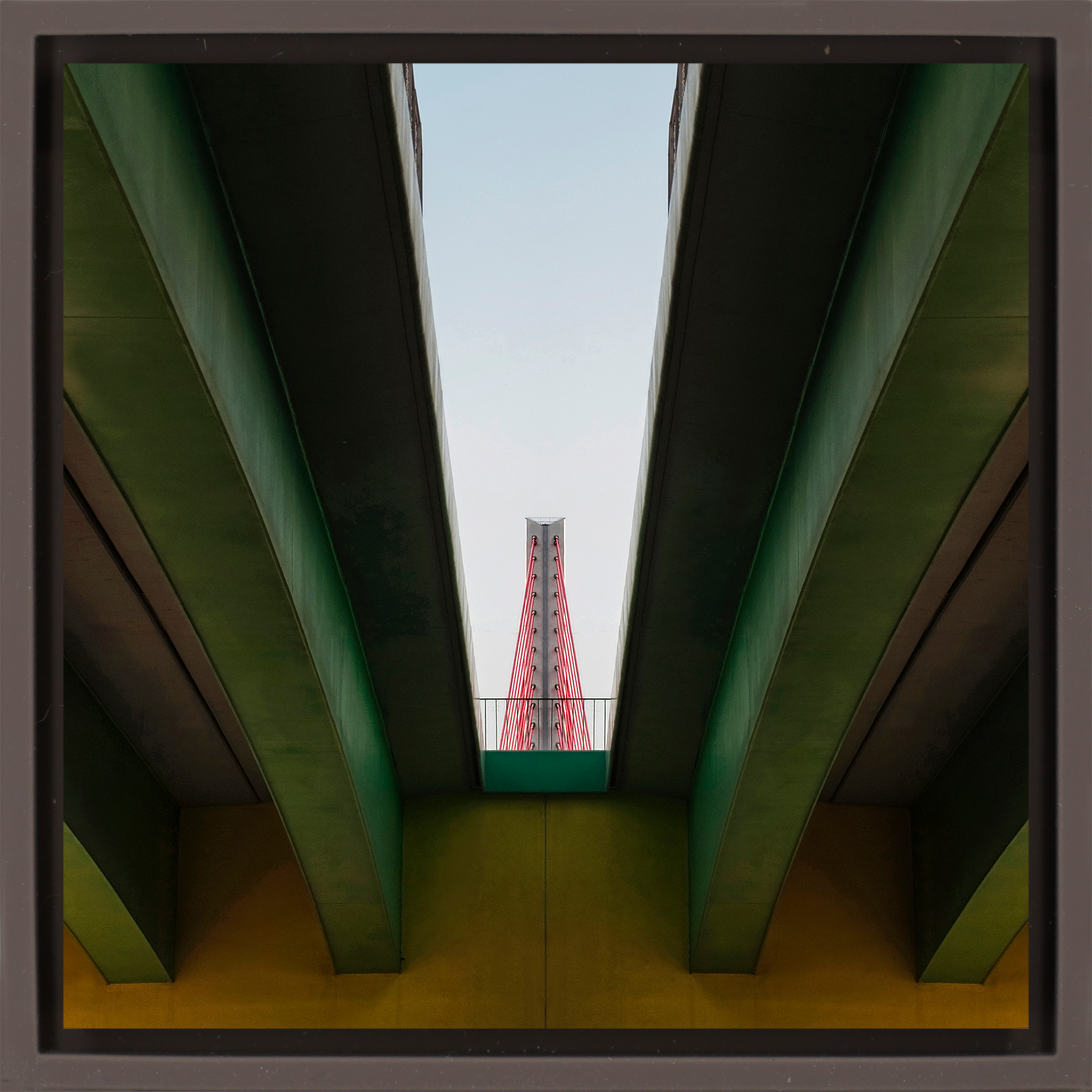 Sight Line- Brown Wrapp