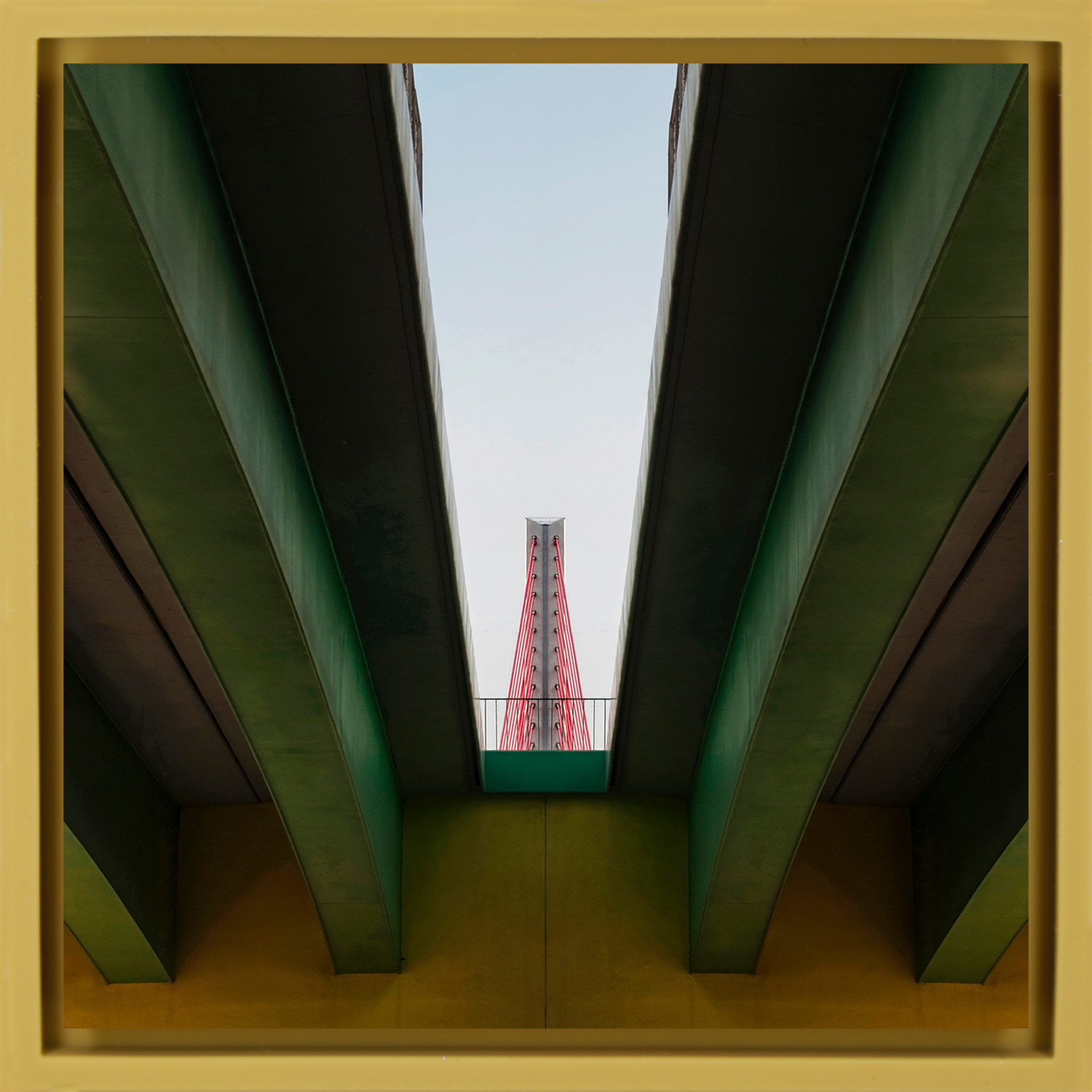 Sight Line- Ochre Wrapp