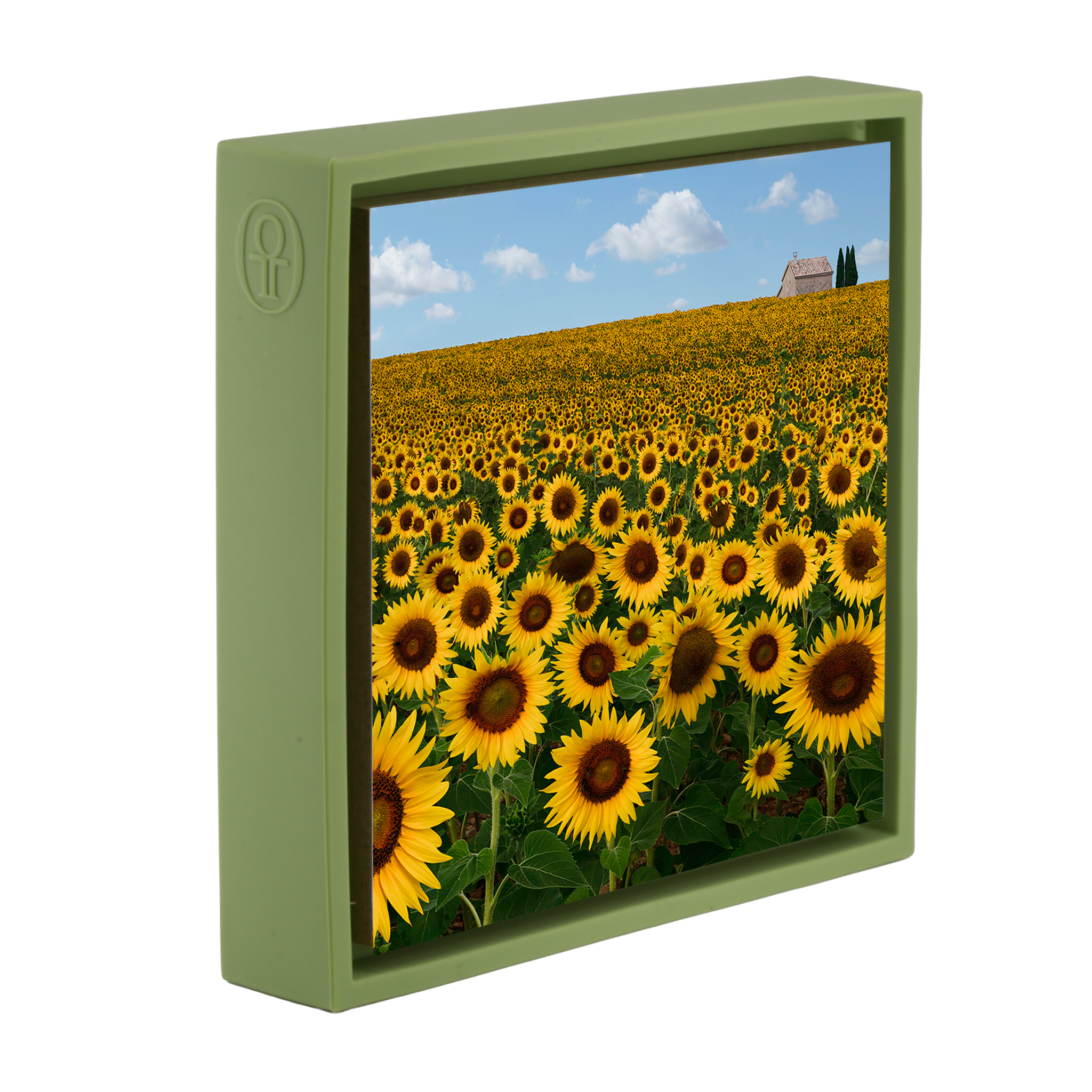 Le Beau Soleil – Hellgrünes Wrapp