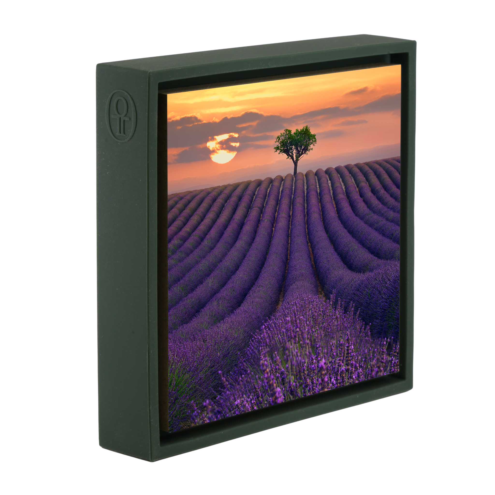 For the Love of Lavender - Donkergroene Wrapp