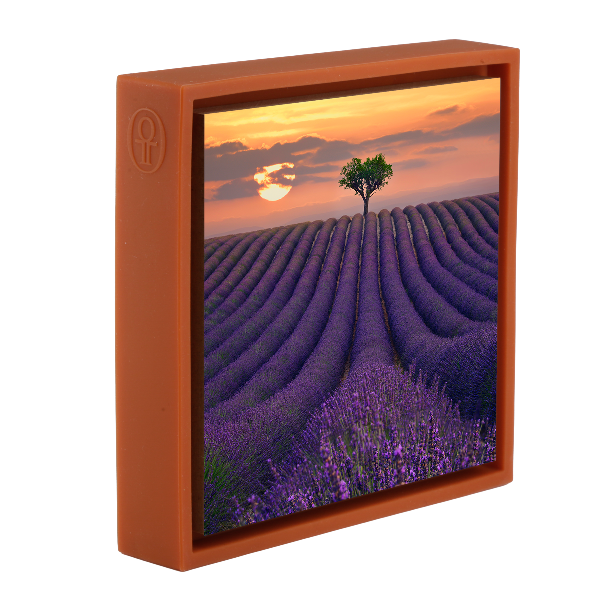For the Love of Lavender- Orange Wrapp