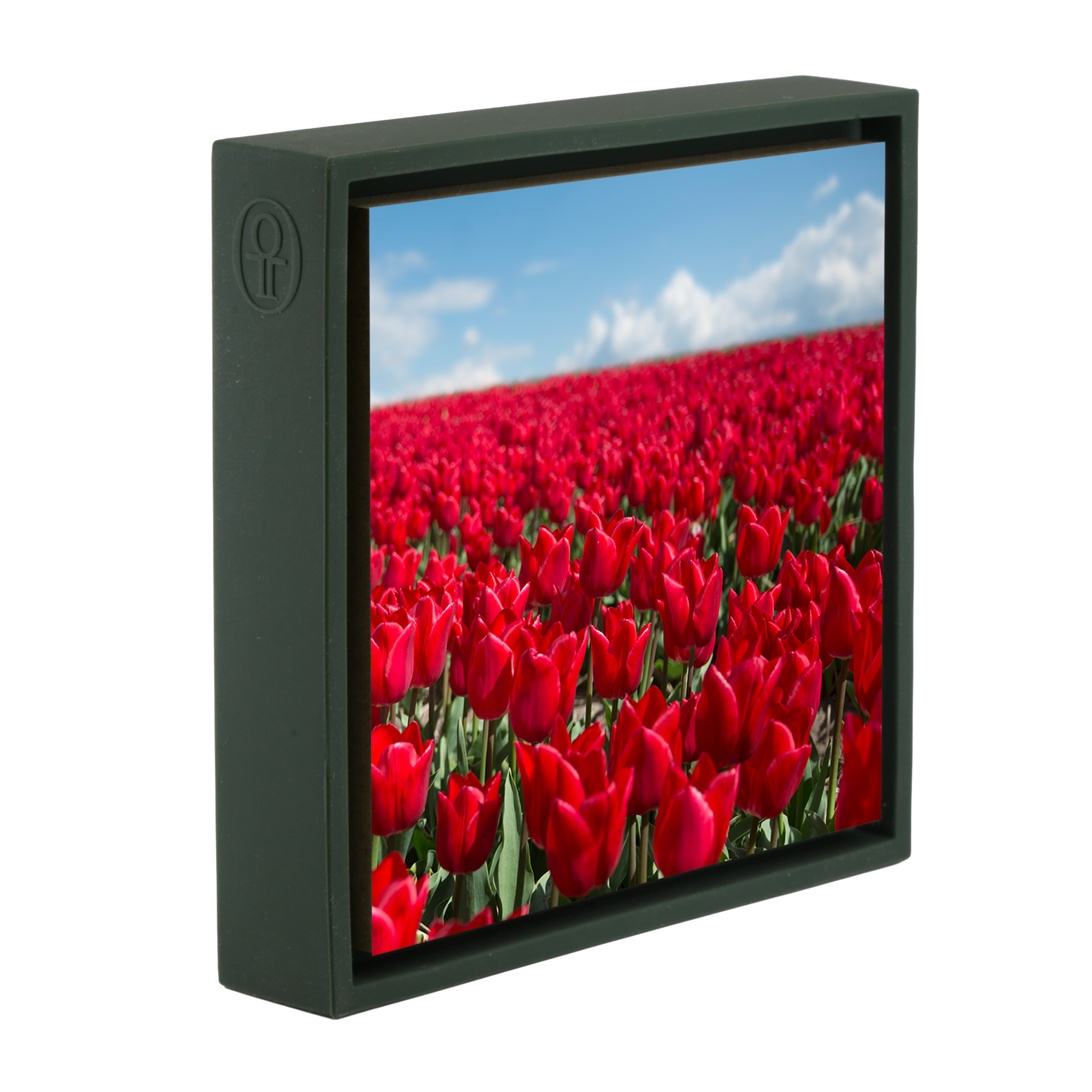 Infinite Red- Dark Green Wrapp