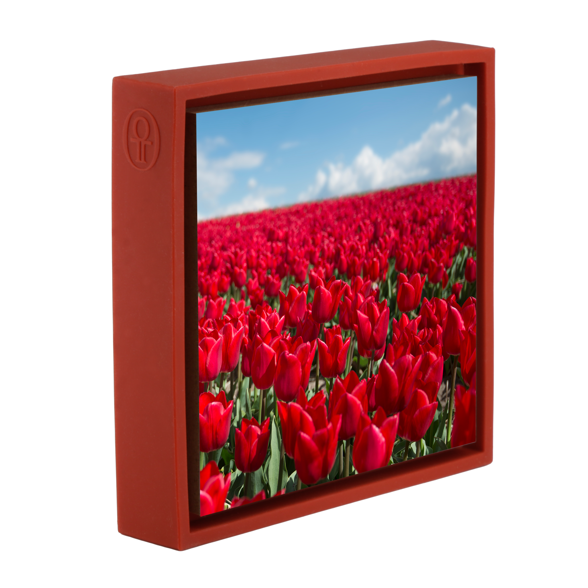 Infinite Red- Red Wrapp
