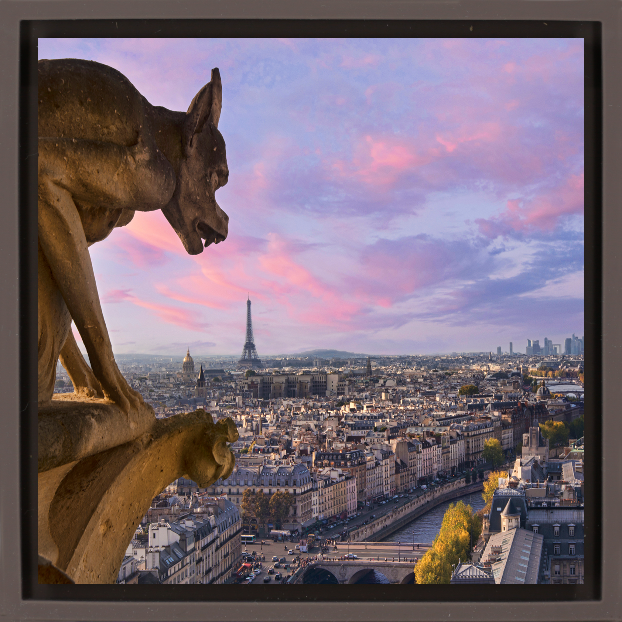 View from Notre Dame - Bruine Wrapp