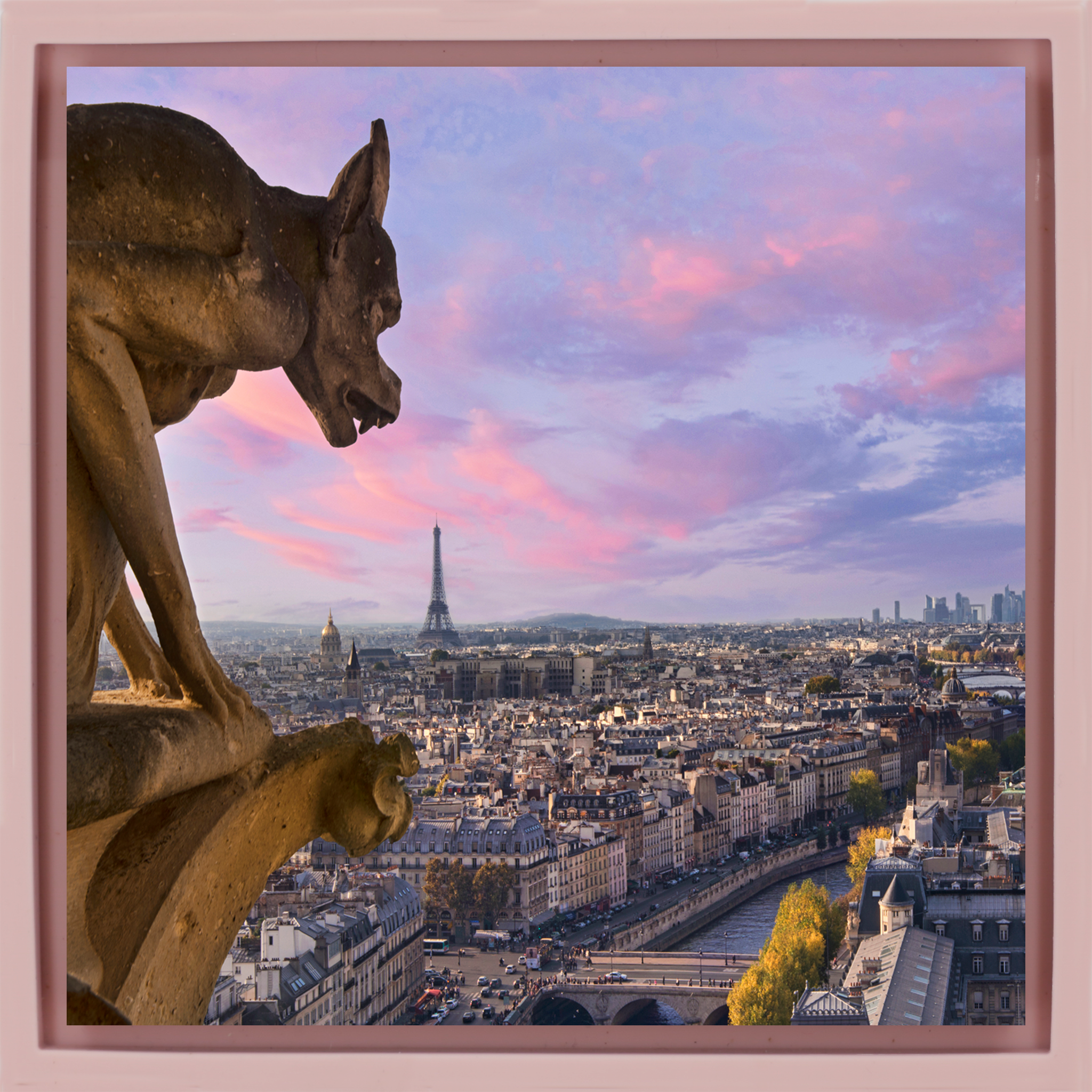 View from Notre Dame - Roze Wrapp
