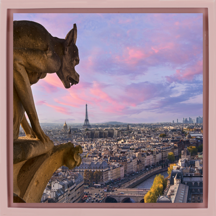 View from Notre Dame - Pink Wrapp