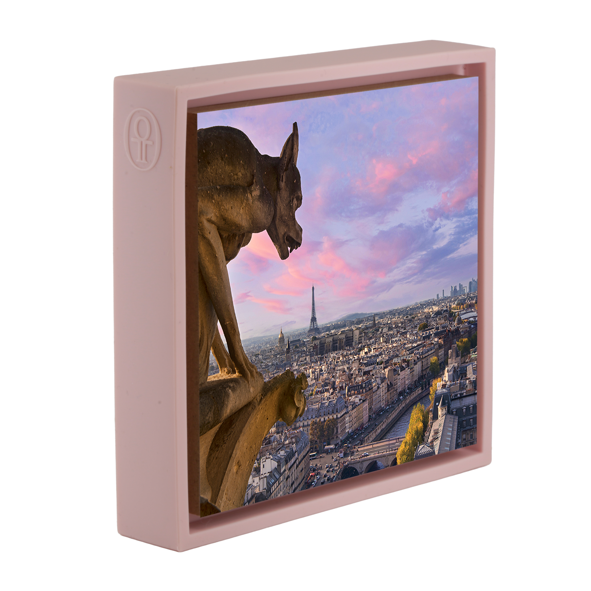 View from Notre Dame- Pink Wrapp