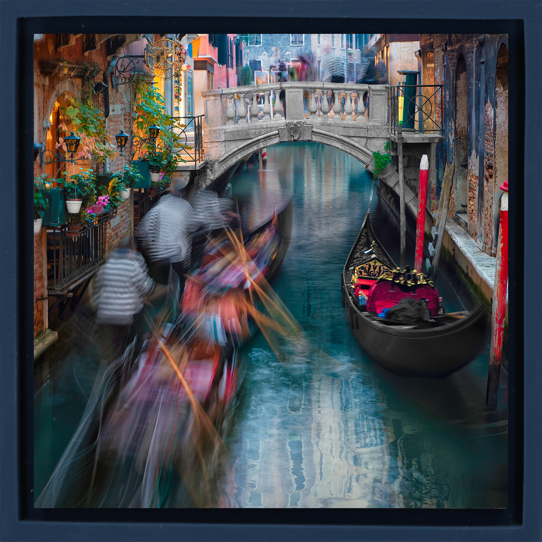 Enchanting Ride- Dark Blue Wrapp