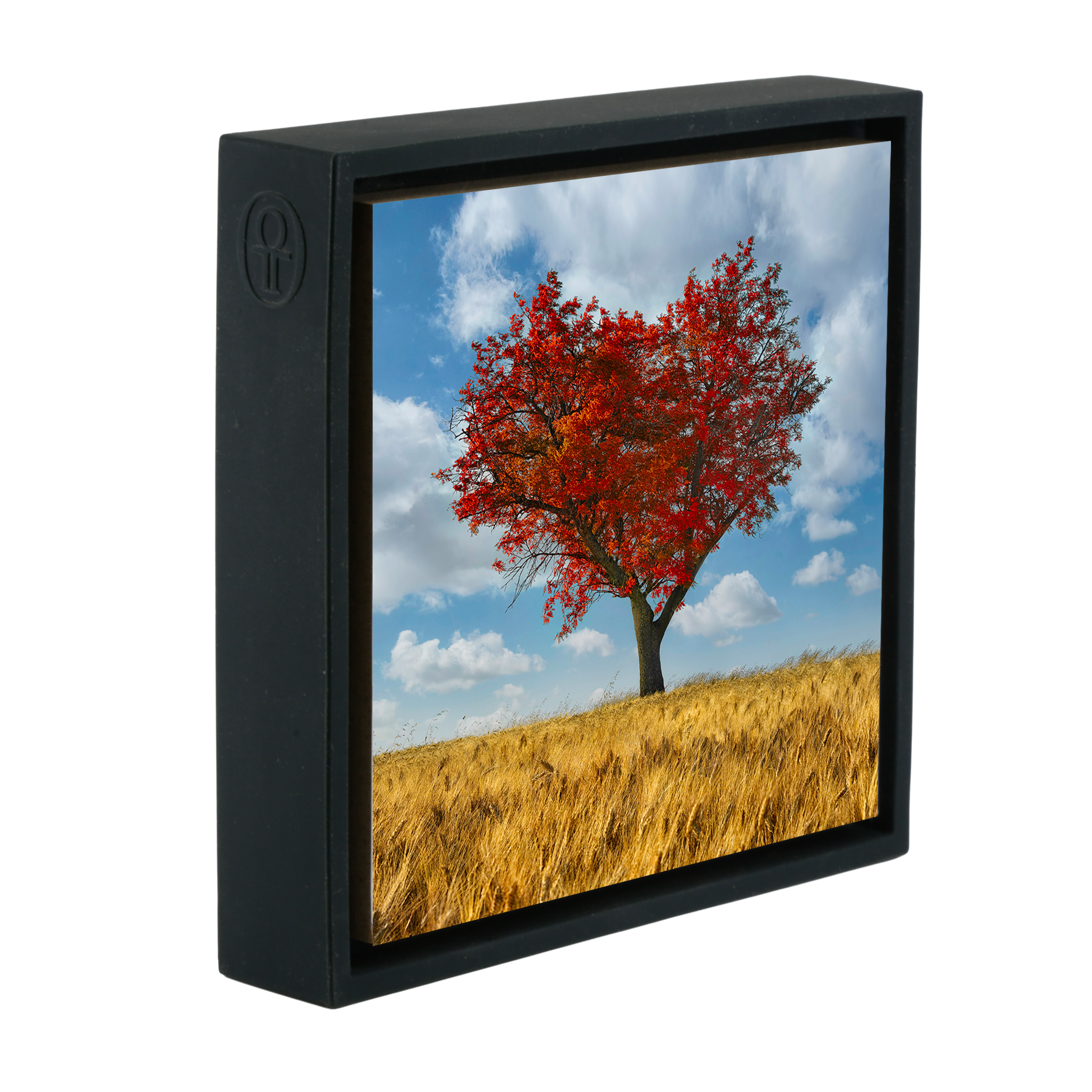 The Lonely Heart- Black Wrapp