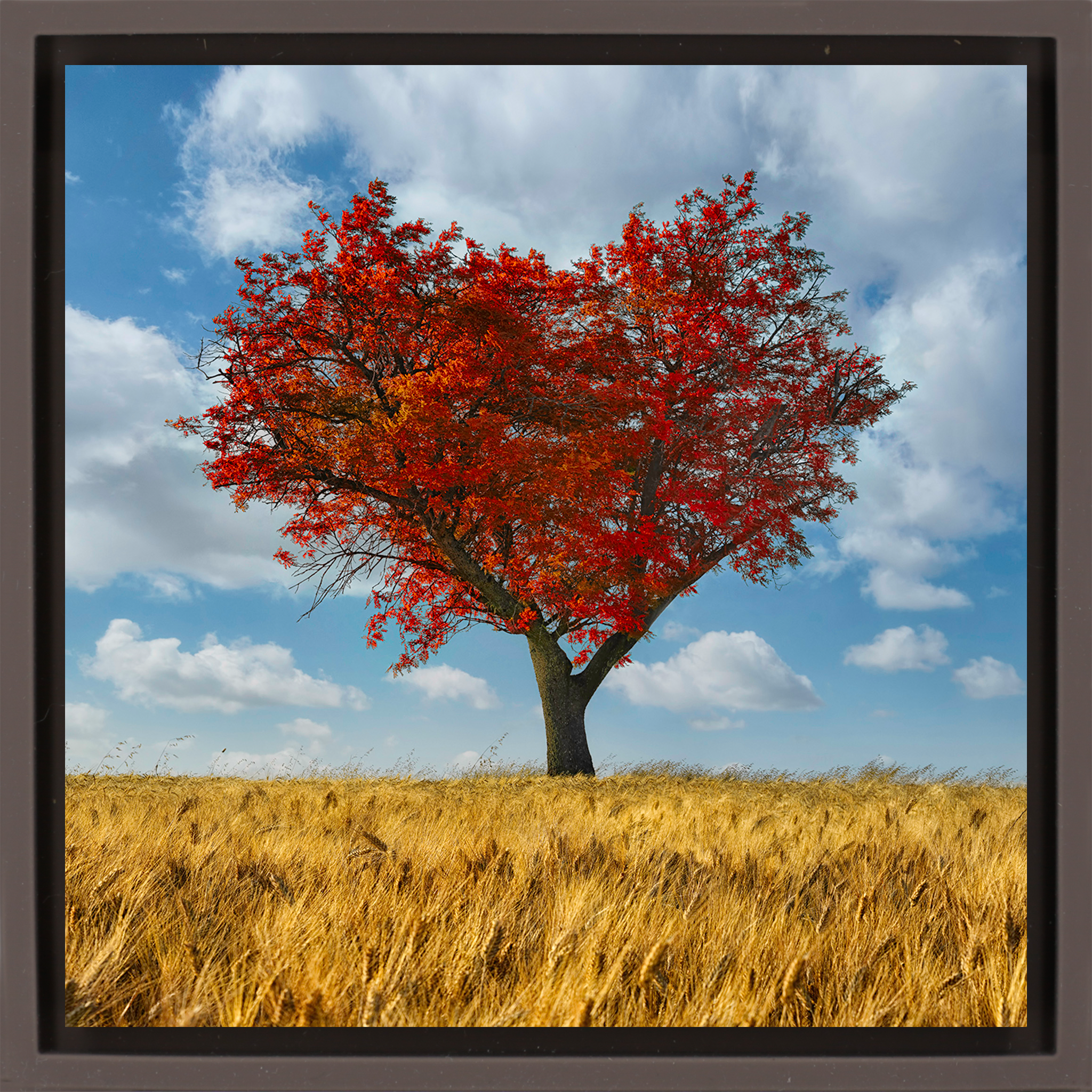 The Lonely Heart- Brown Wrapp