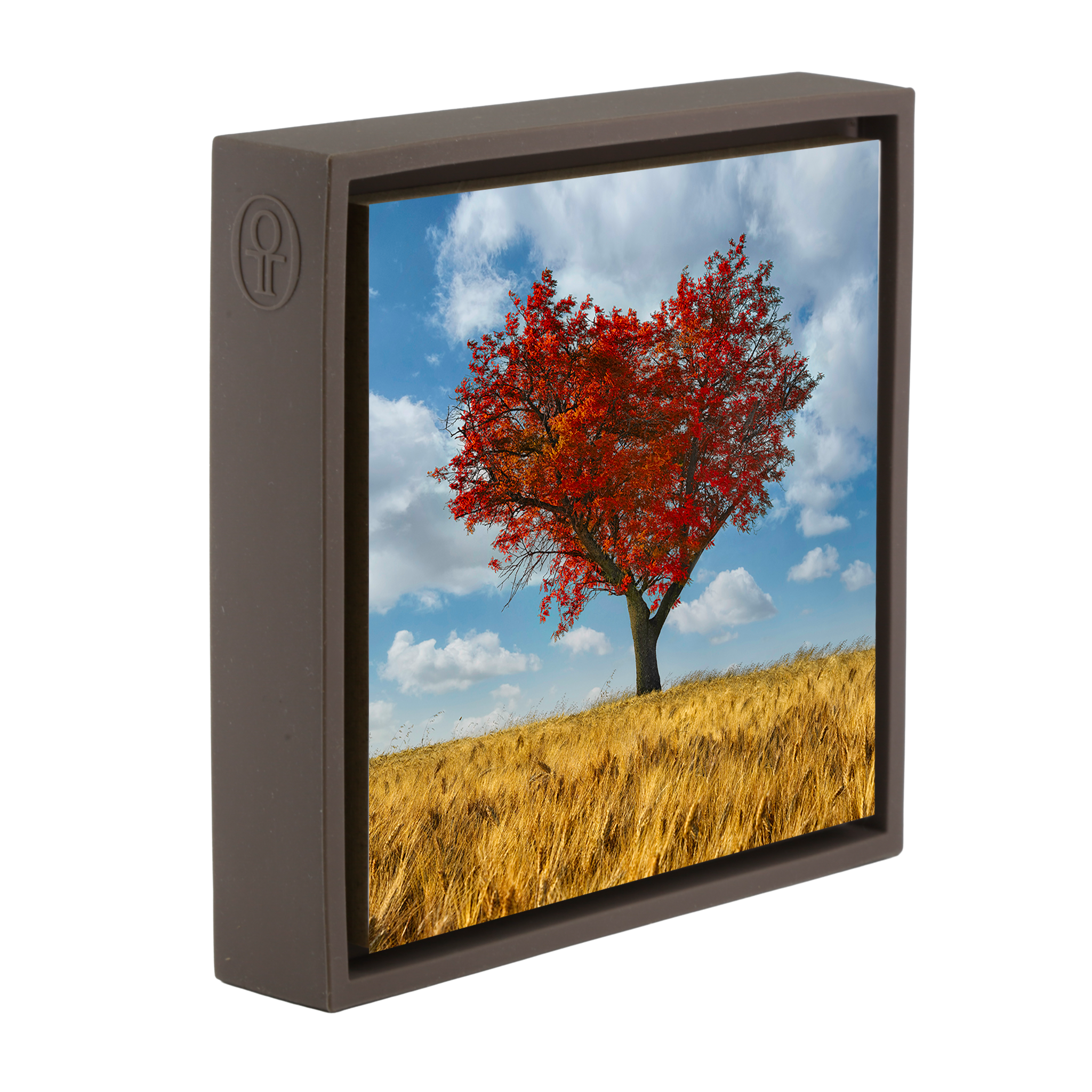 The Lonely Heart- Brown Wrapp