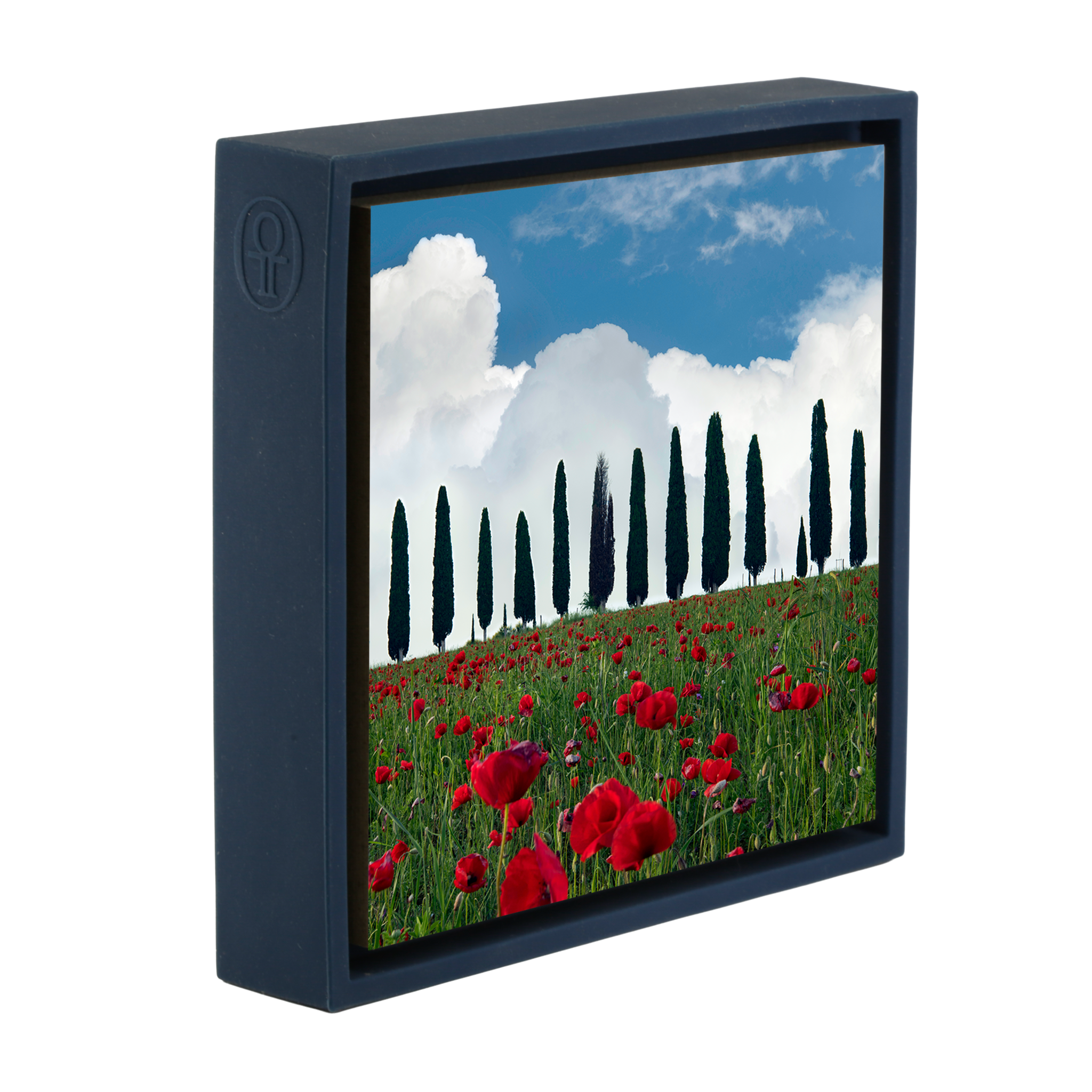Tuscan Blooms- Dark Blue Wrapp