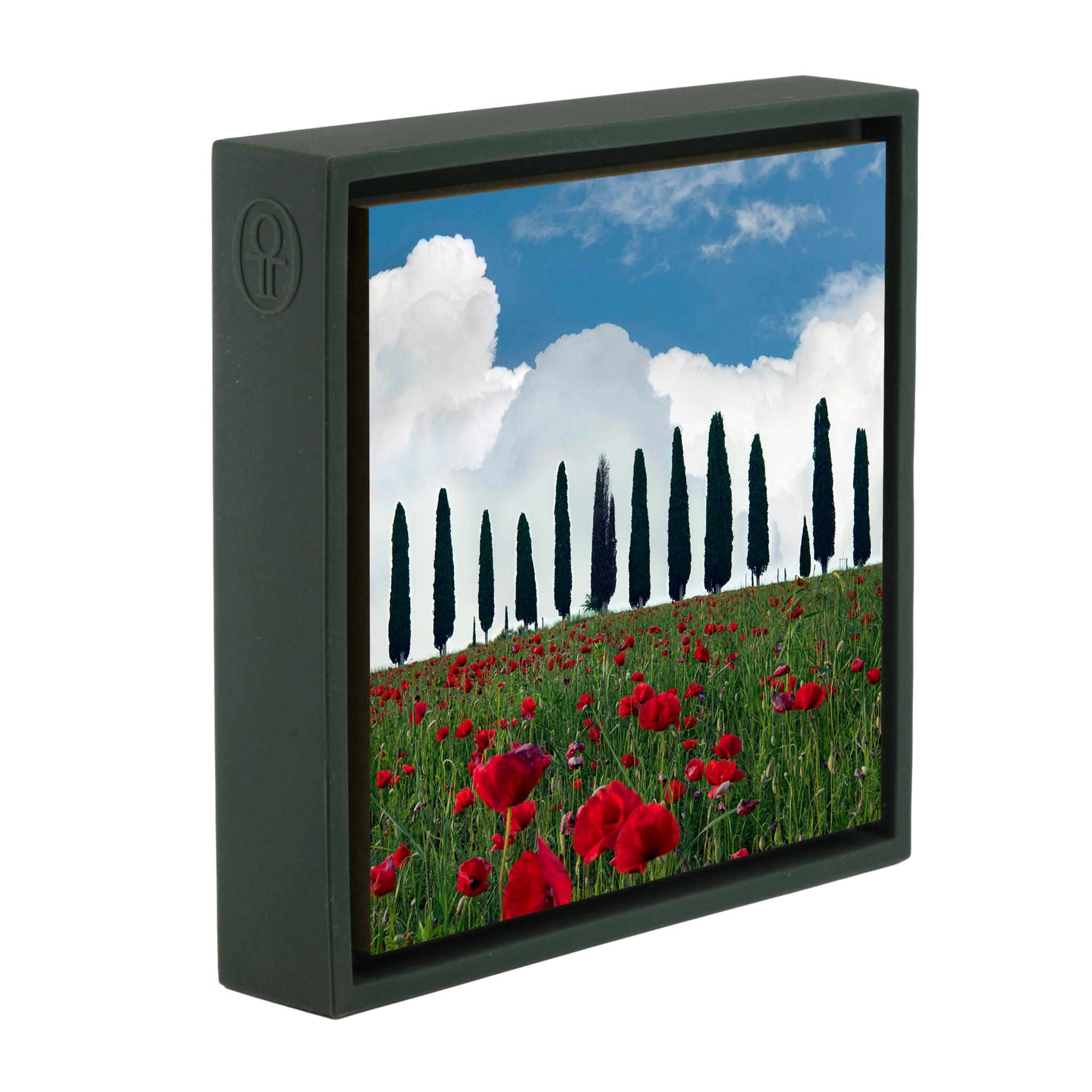 Tuscan Blooms- Dark Green Wrapp