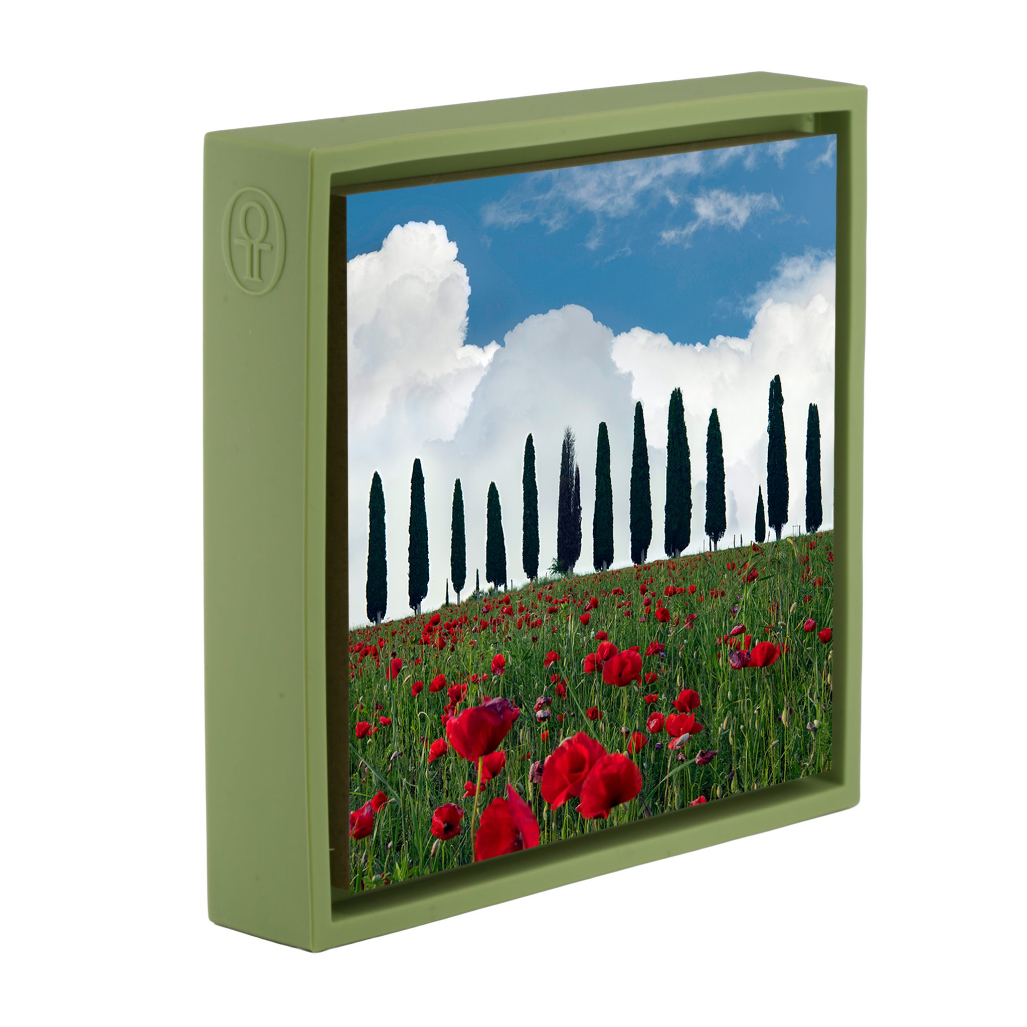 Tuscan Blooms- Light Green Wrapp