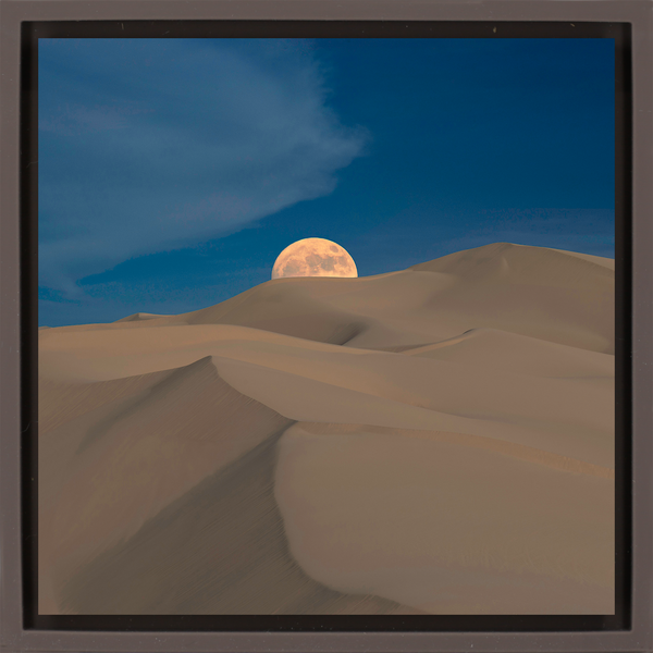 Desert Veil - Brown Wrapp