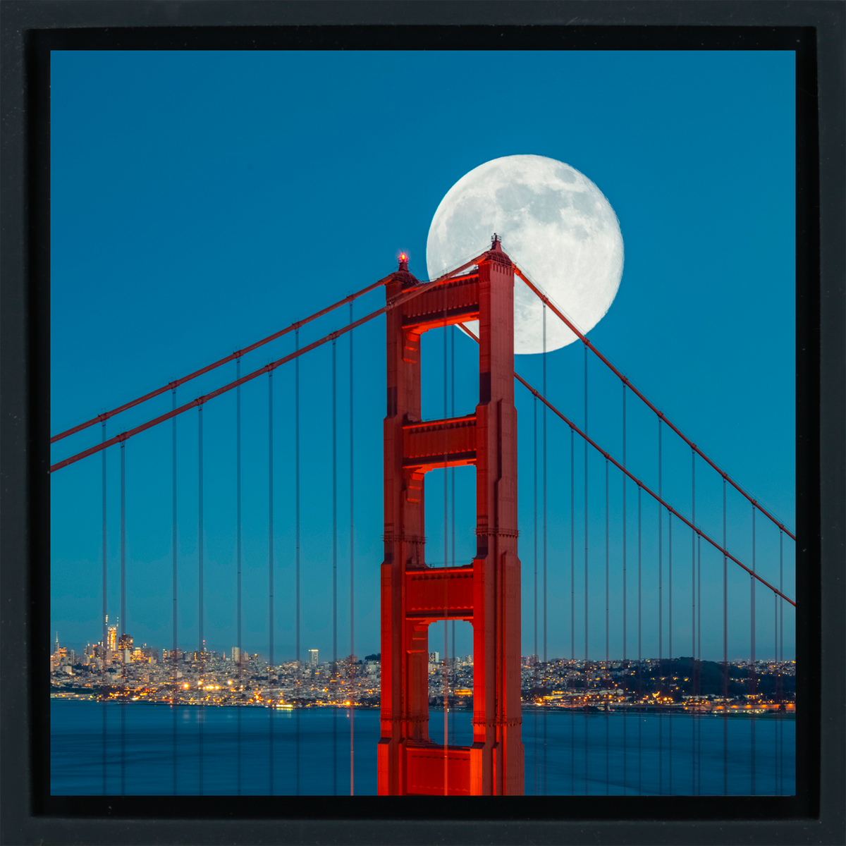 San Francisco Bliss