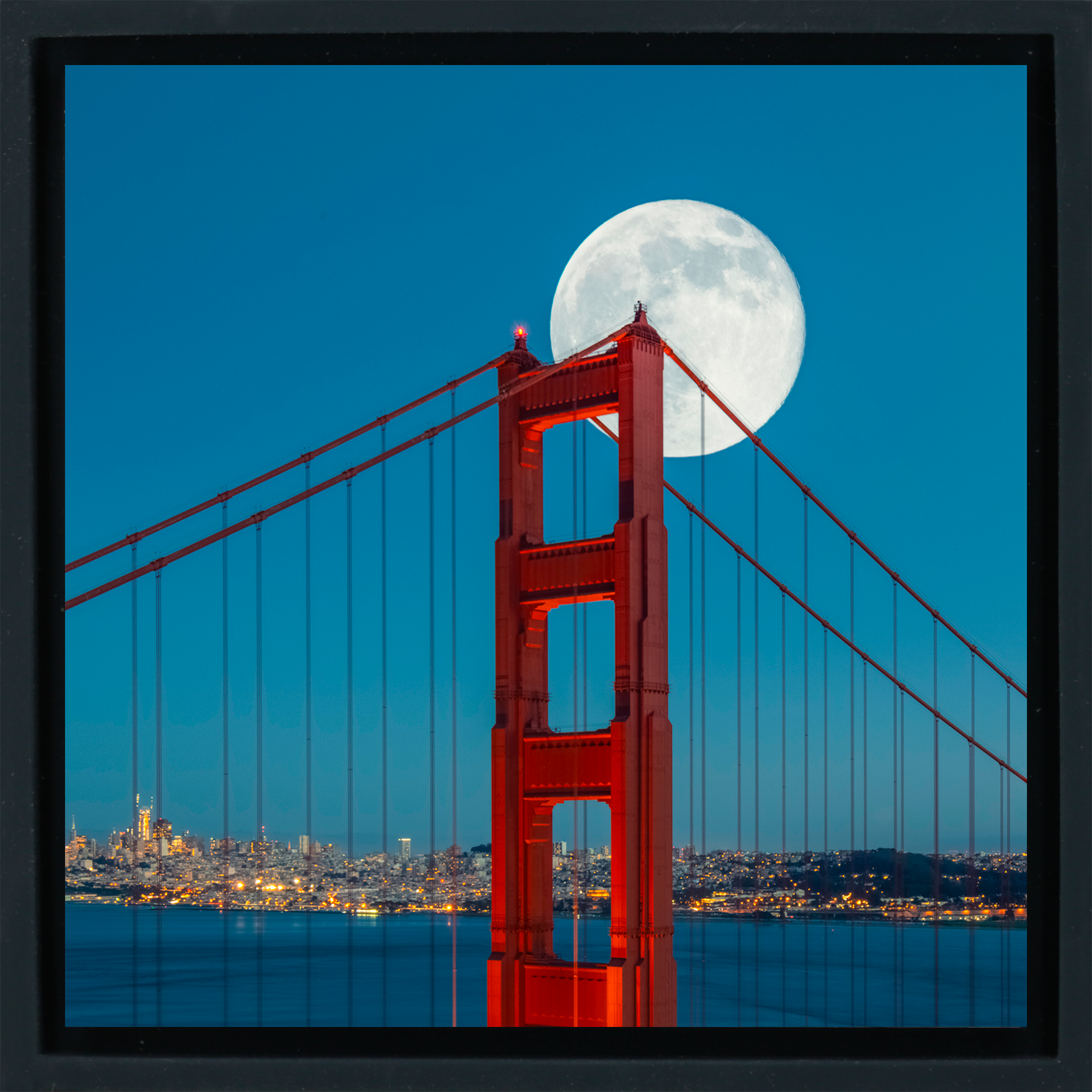 San Francisco Bliss - Zwarte Wrapp