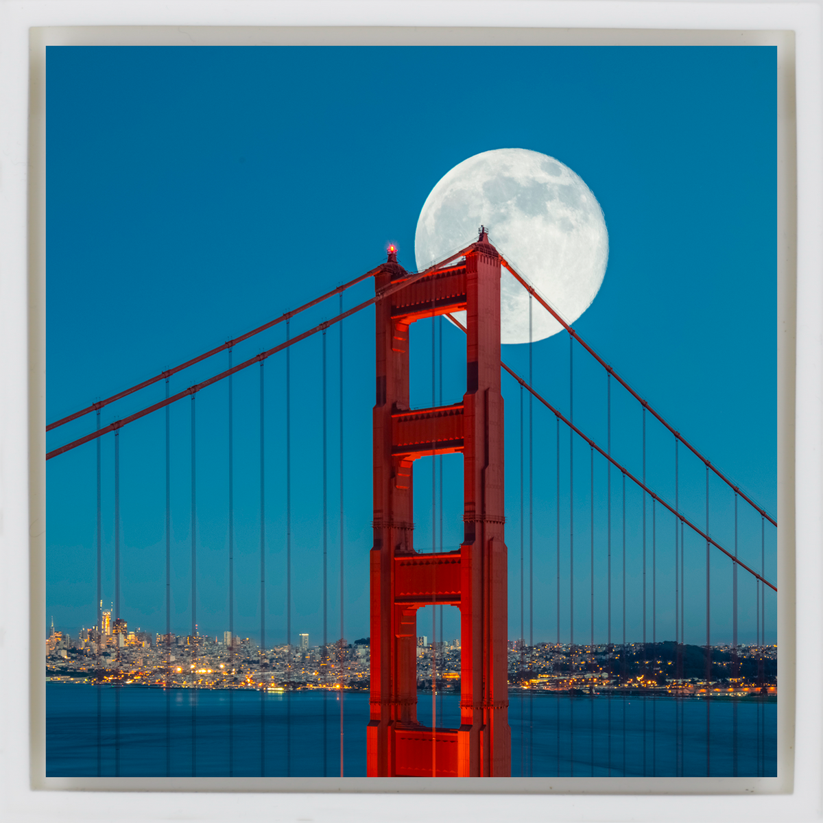 San Francisco Bliss