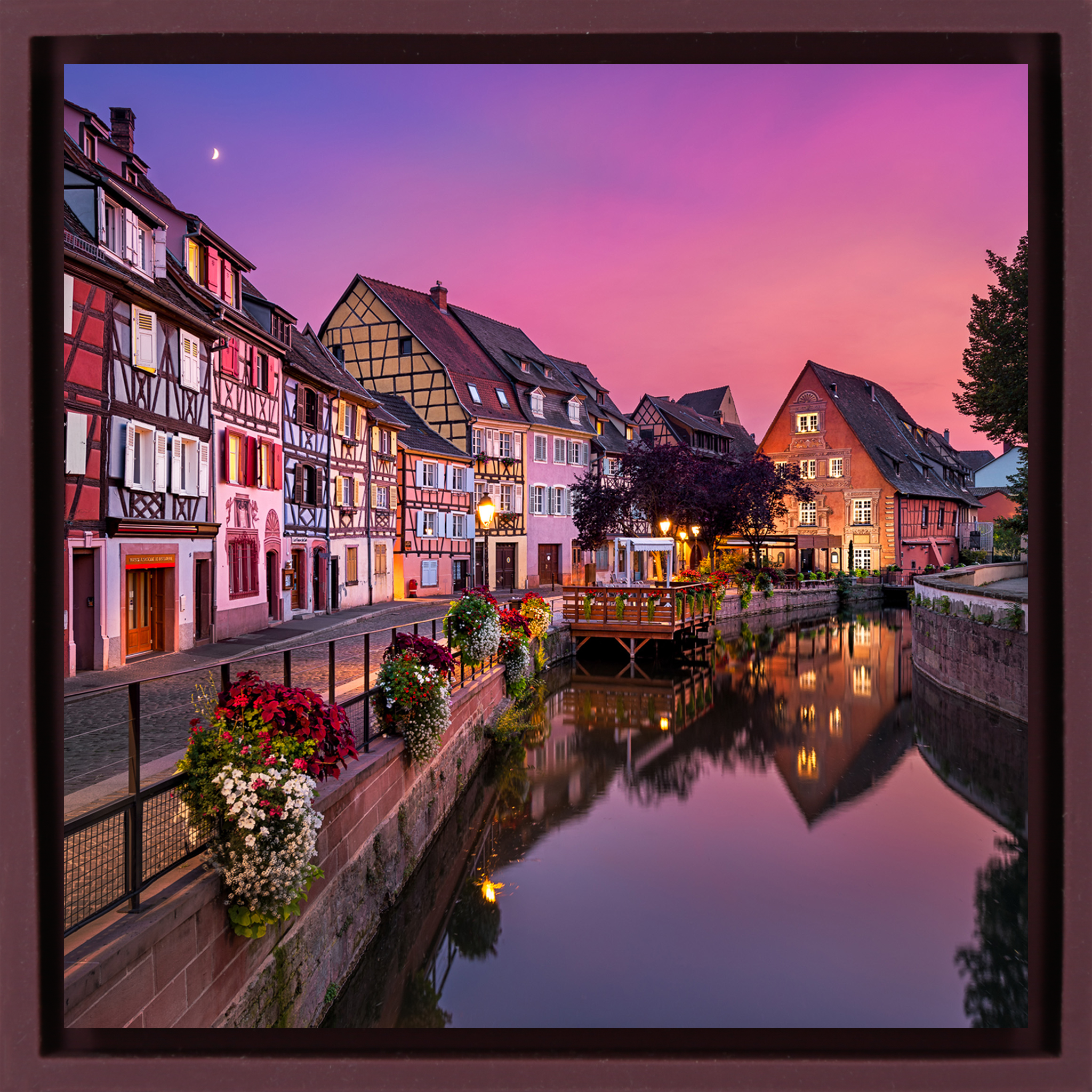 Old Town of Colmar- Purple Wrapp