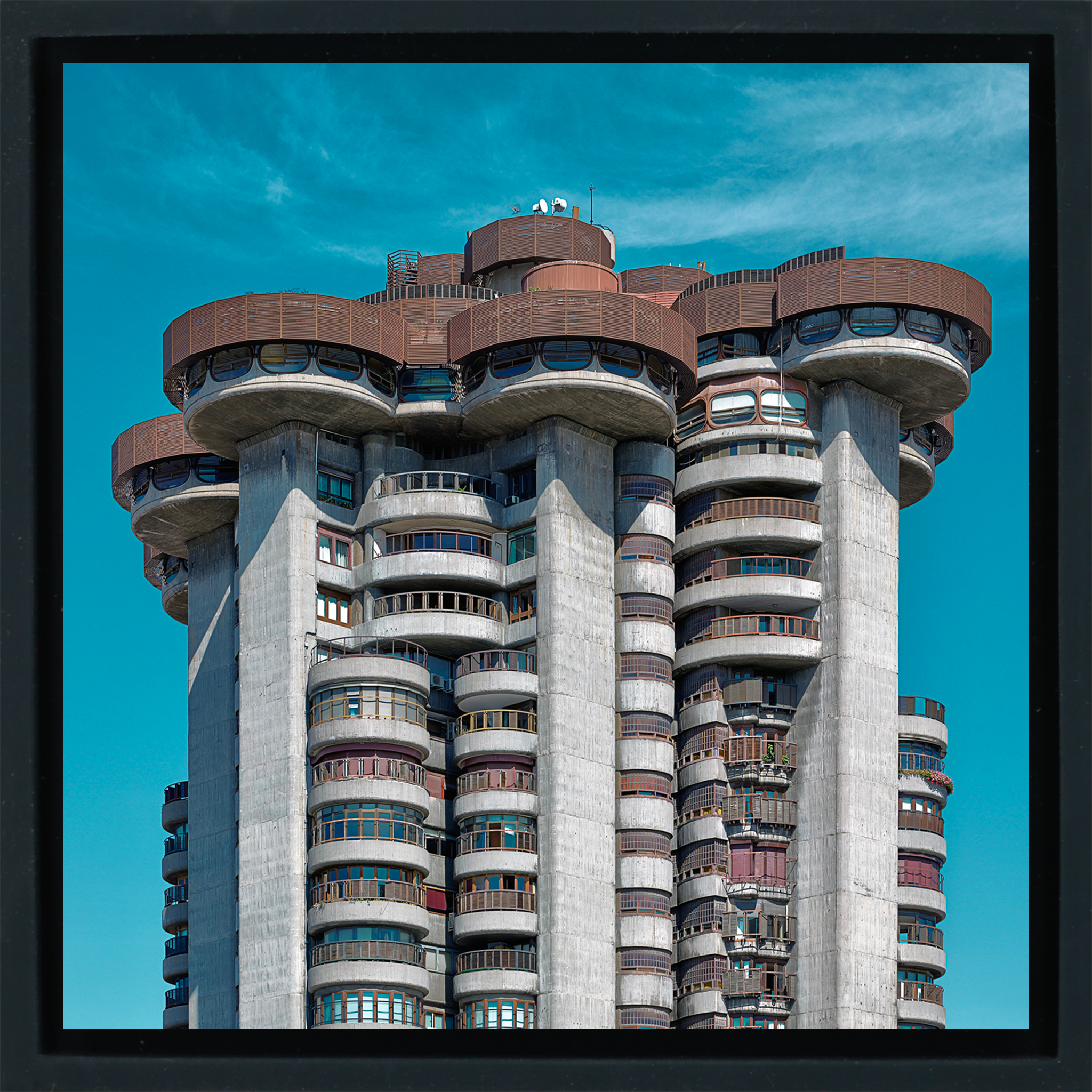 Torres Blancas- Black Wrapp