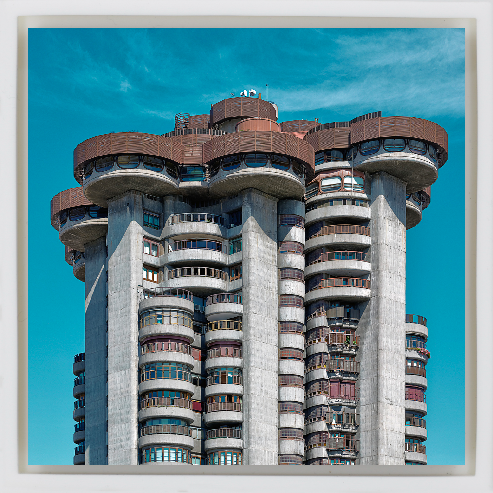 Torres Blancas- White Wrapp