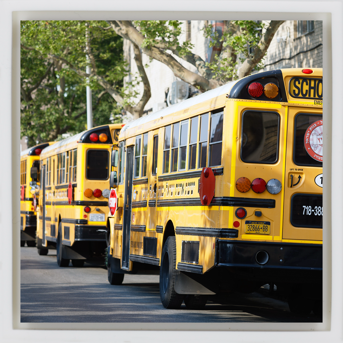 Hasidic School Busses