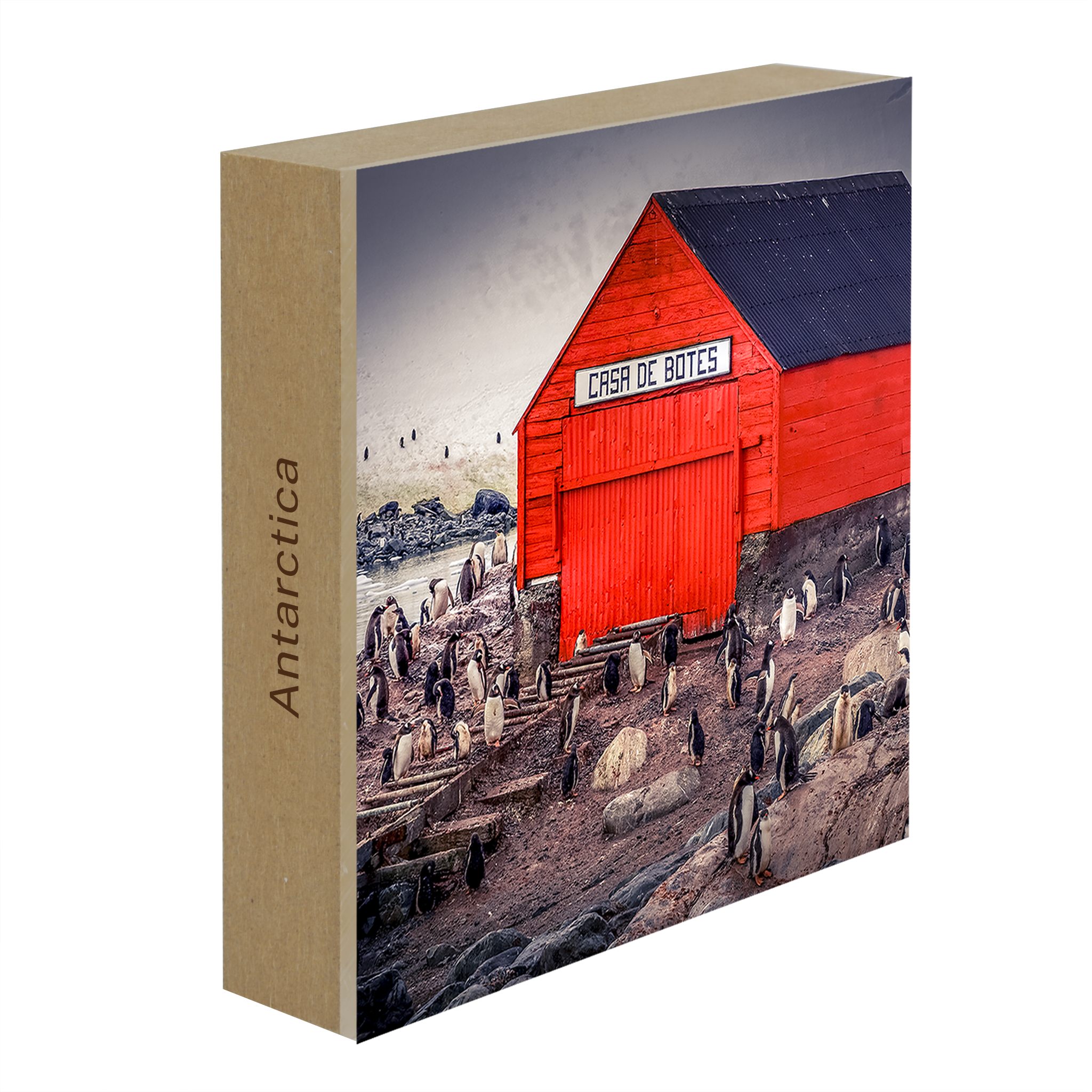 The Busiest House in Antartica- Collection: Antartica