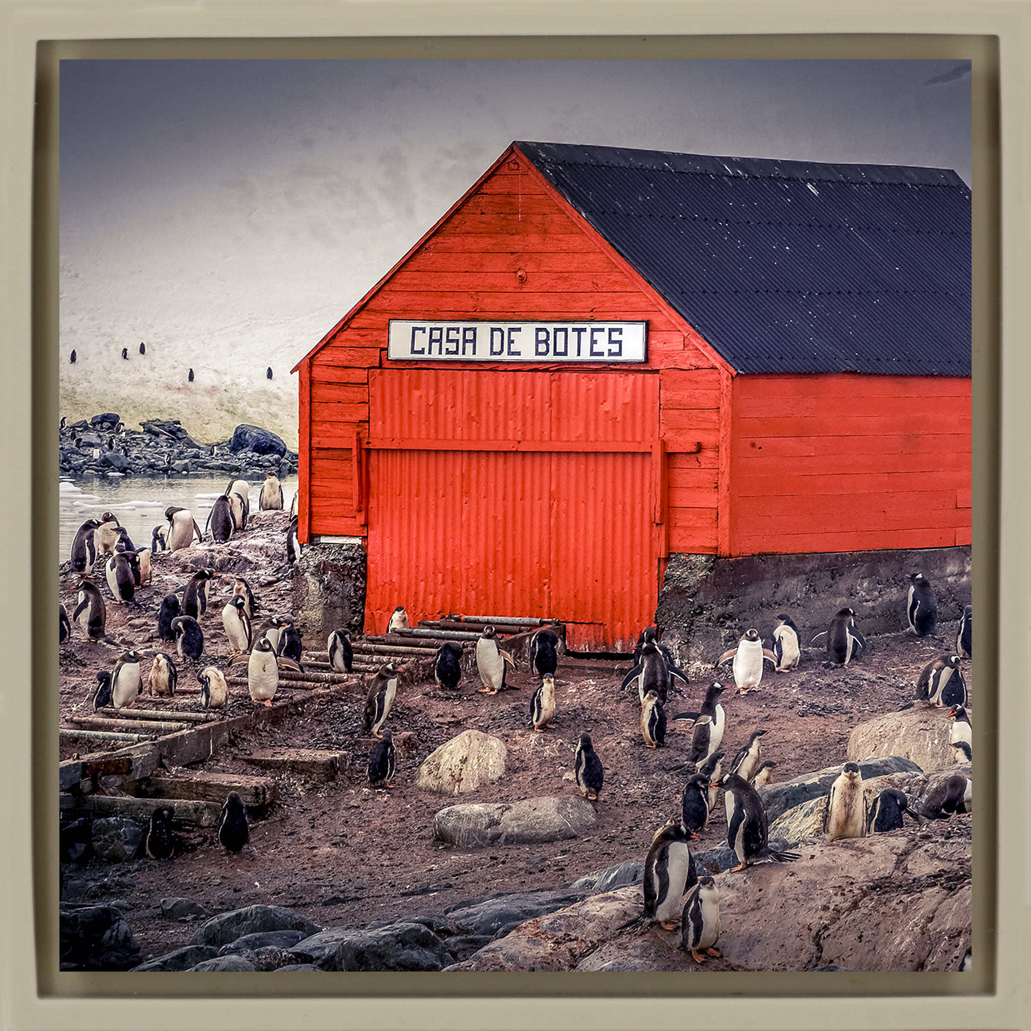 The Busiest House in Antartica- Sand Wrapp