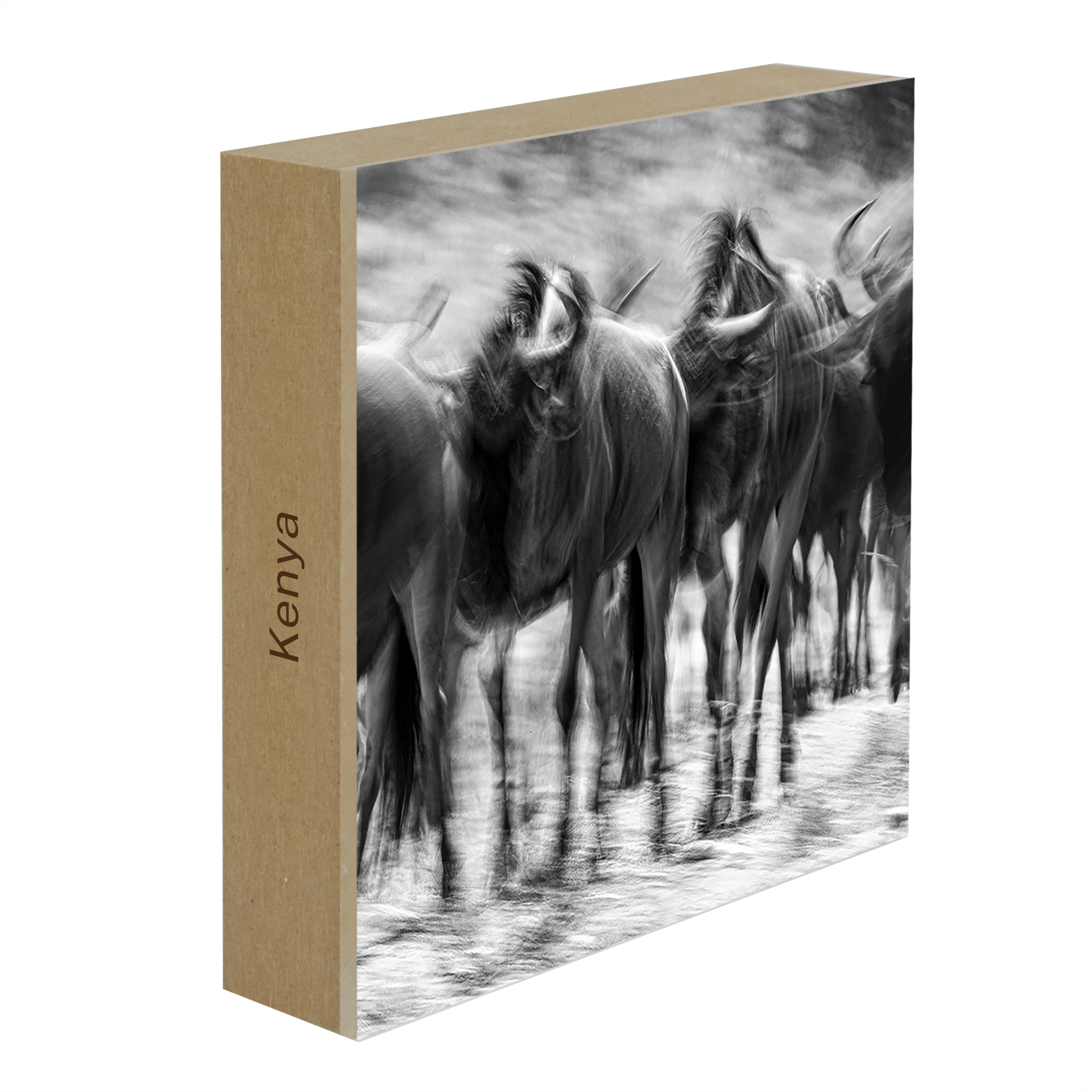 The Great Migration- Collection: Kenya
