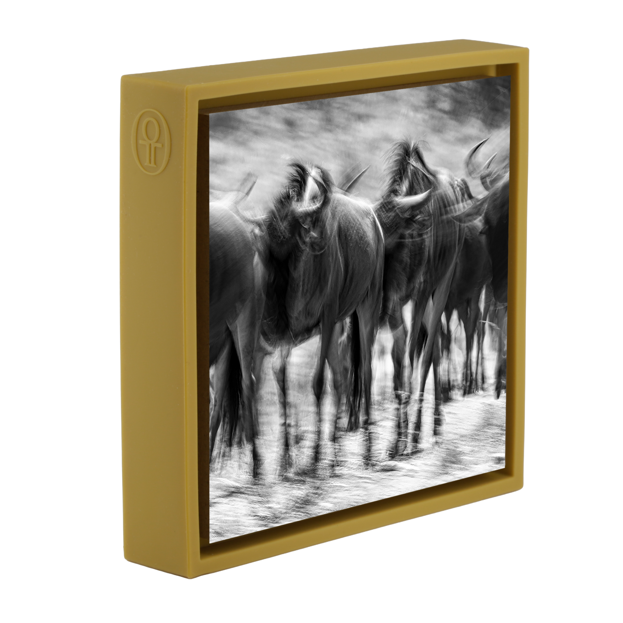 The Great Migration- Ochre Wrapp