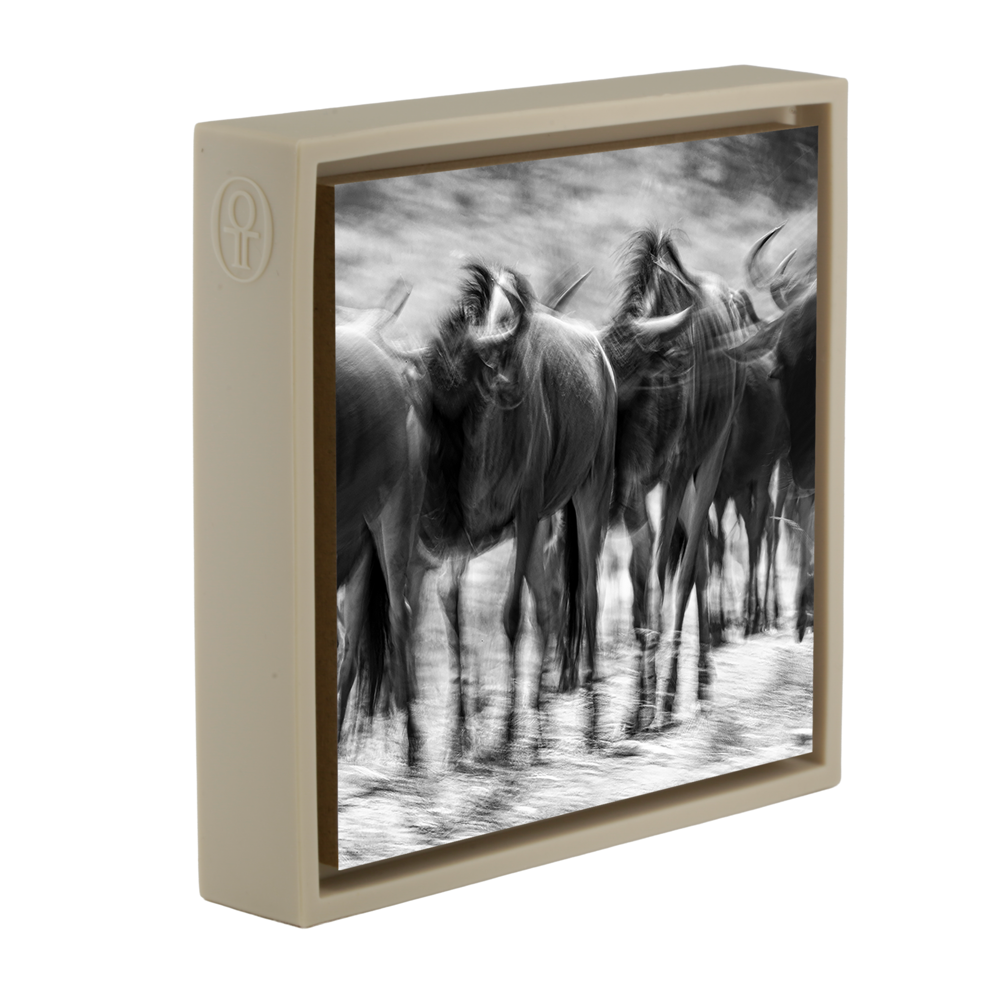 The Great Migration- Sand Wrapp
