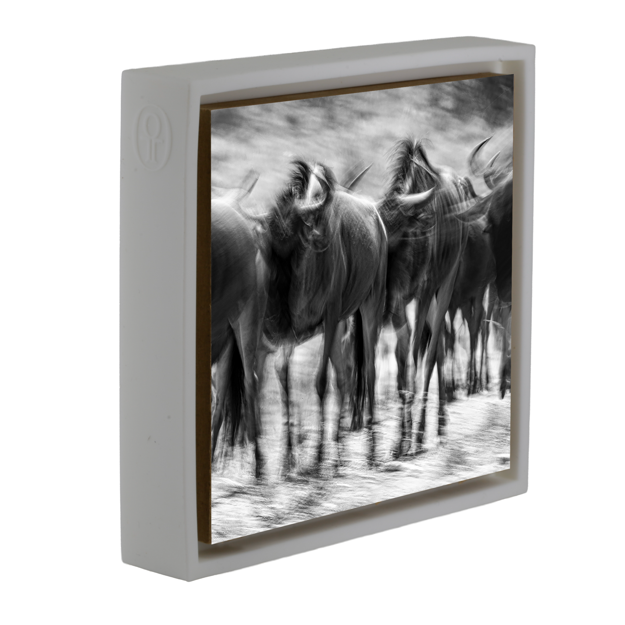 The Great Migration- White Wrapp