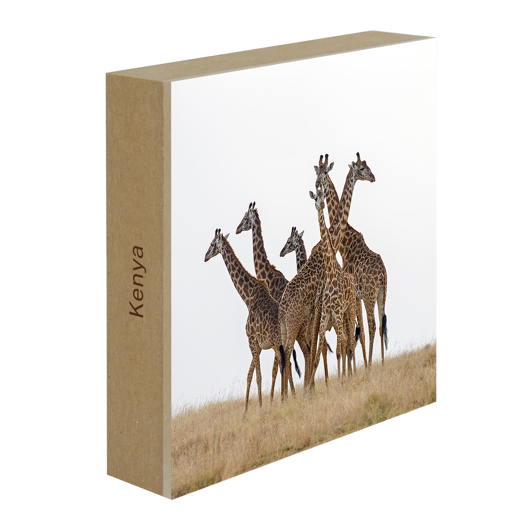 Family Meeting- Collection: Kenya