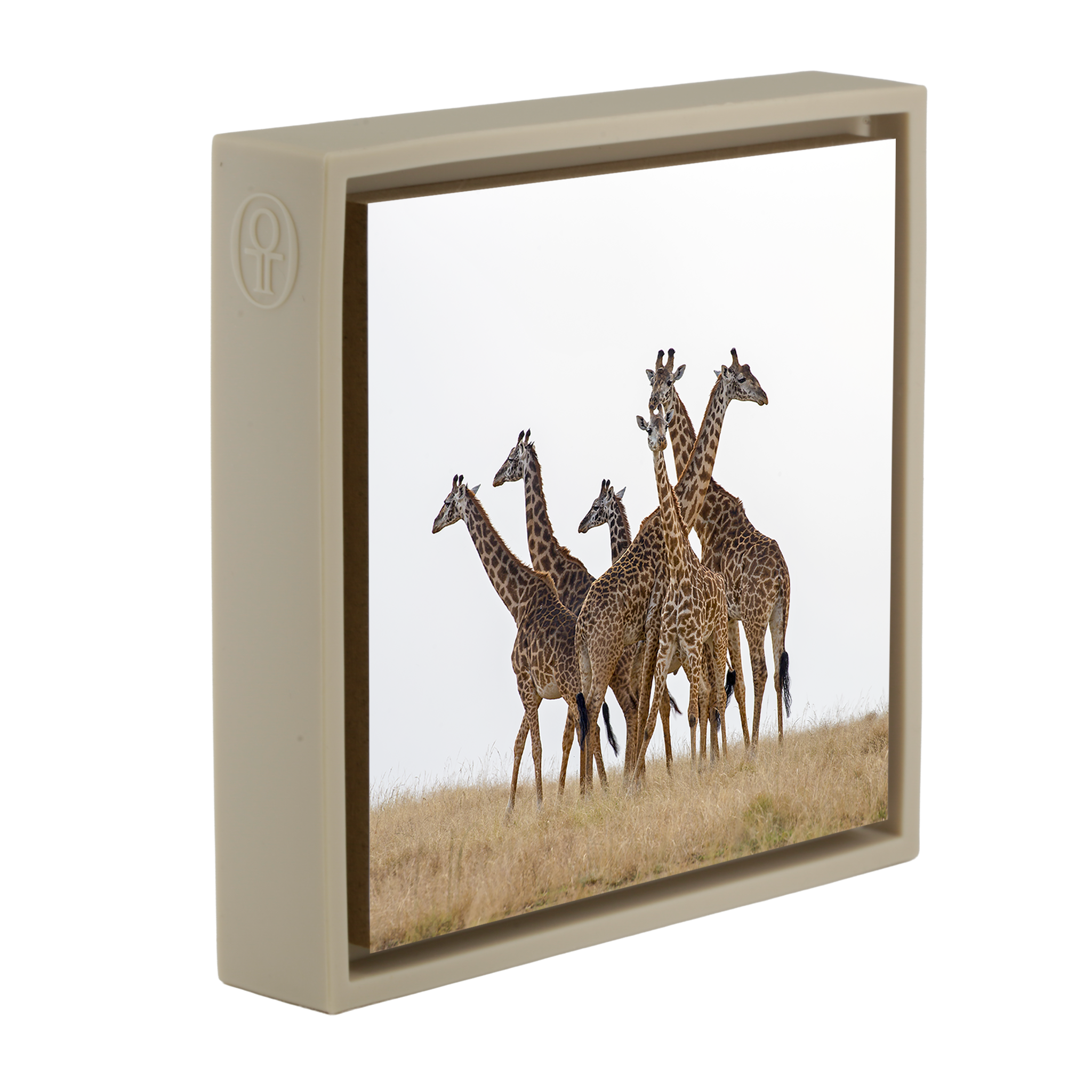 Family Meeting- Sand Wrapp
