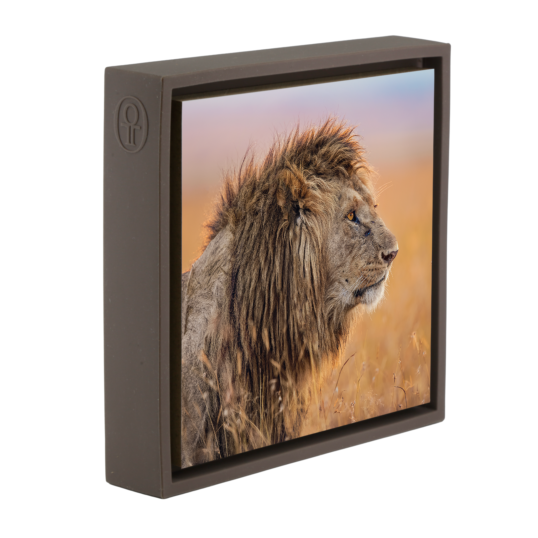 The Old King- Brown Wrapp