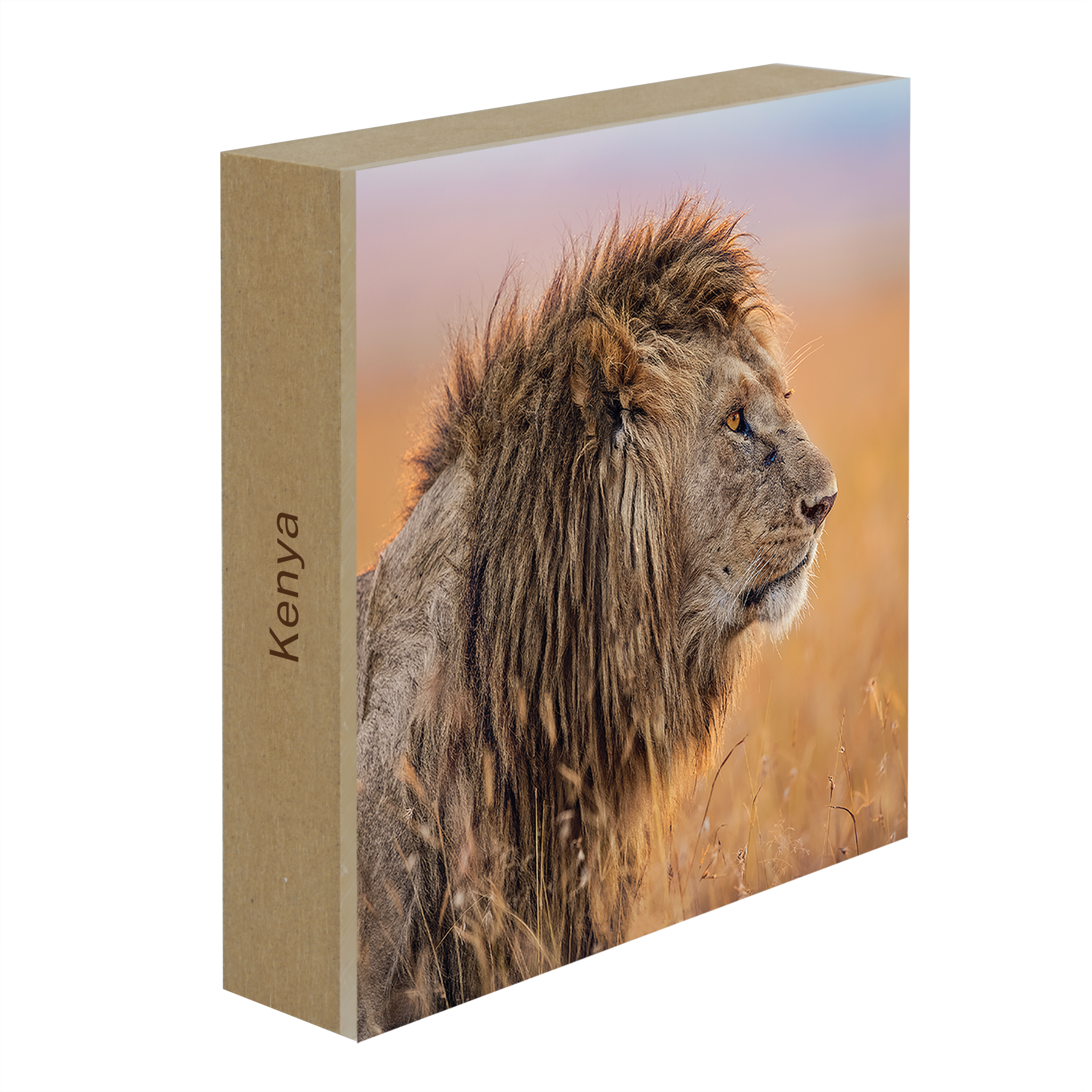 The Old King- Collection: Kenya
