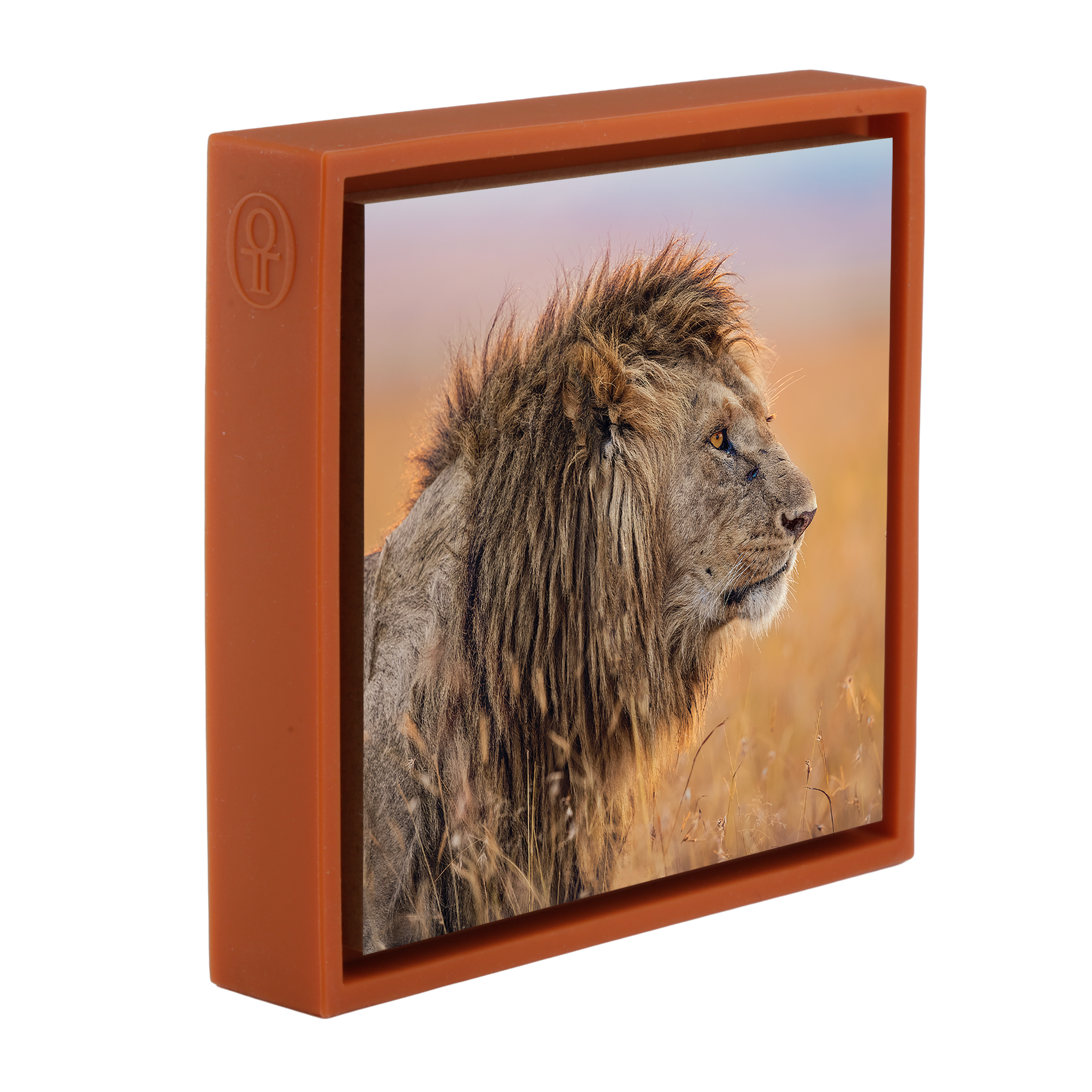 The Old King- Orange Wrapp