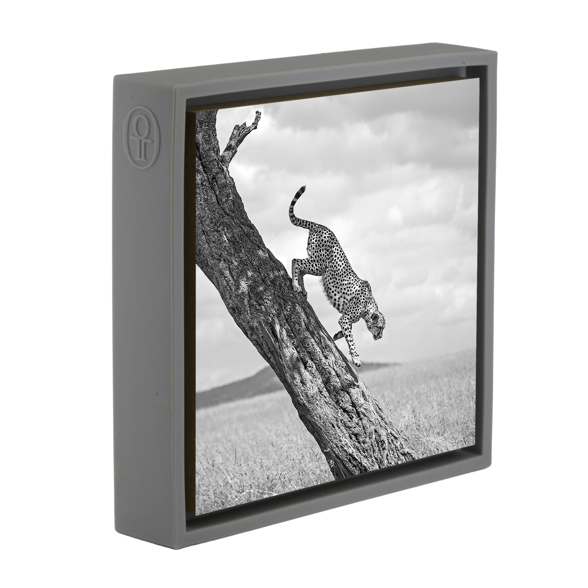 The Way Down- Grey Wrapp