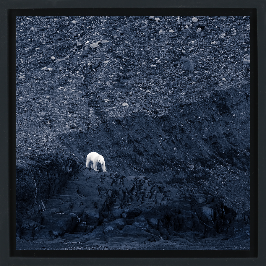 Waiting for Winter - Black Wrapp